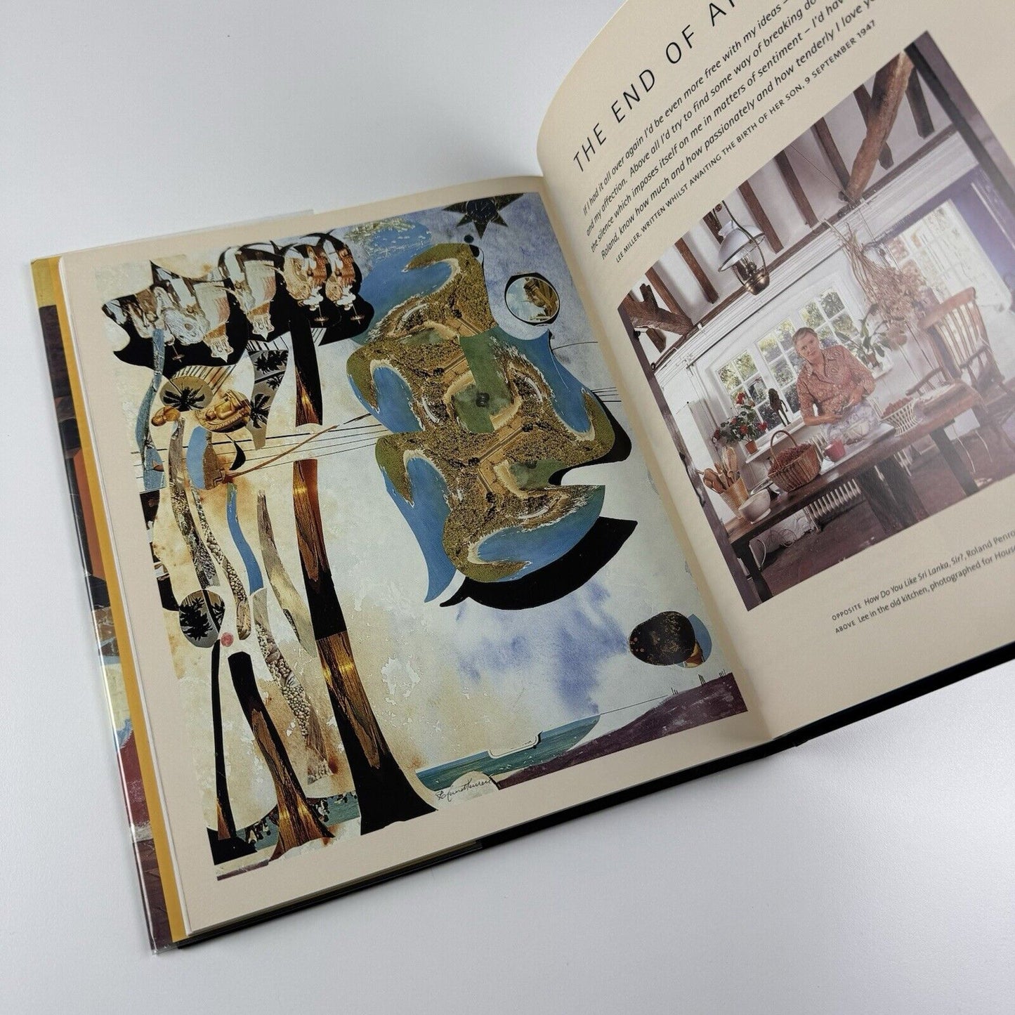 The Home the Surrealists: Lee Miler, Roland Penrose and Their Circle at Farley Farm | Antony Penrose, 2001