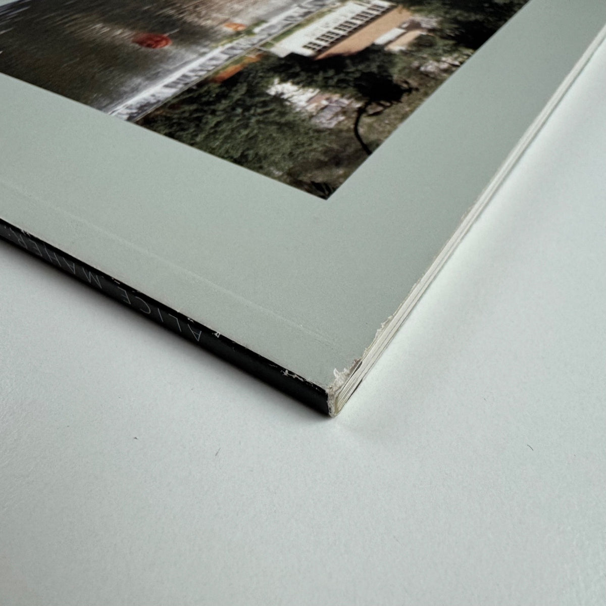 Alice Maher. Natural Artifice | Royal Pavilion Libraries & Museums, 2007 inscribed