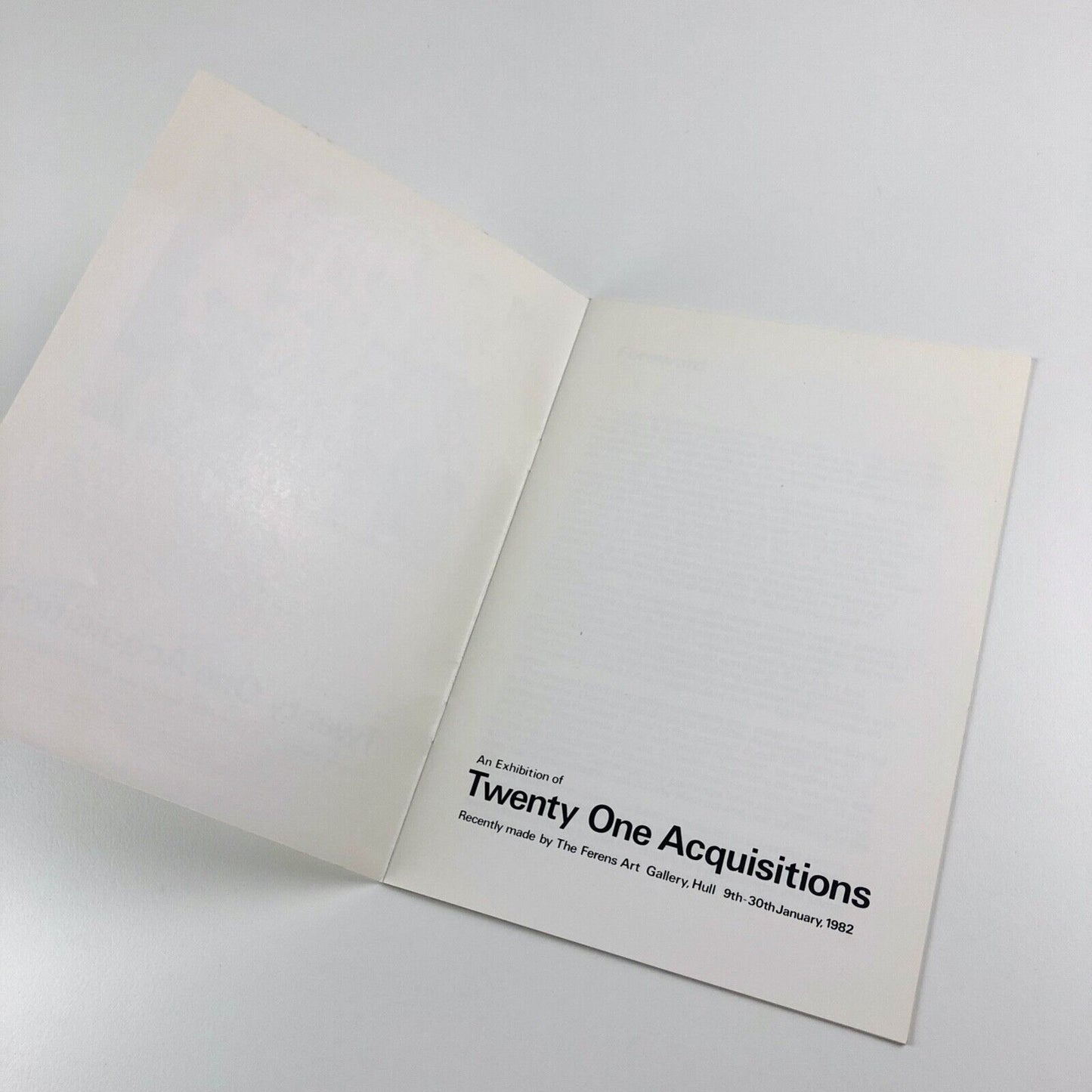 Twenty One Acquisitions The Ferens Art Gallery Hull | 1982