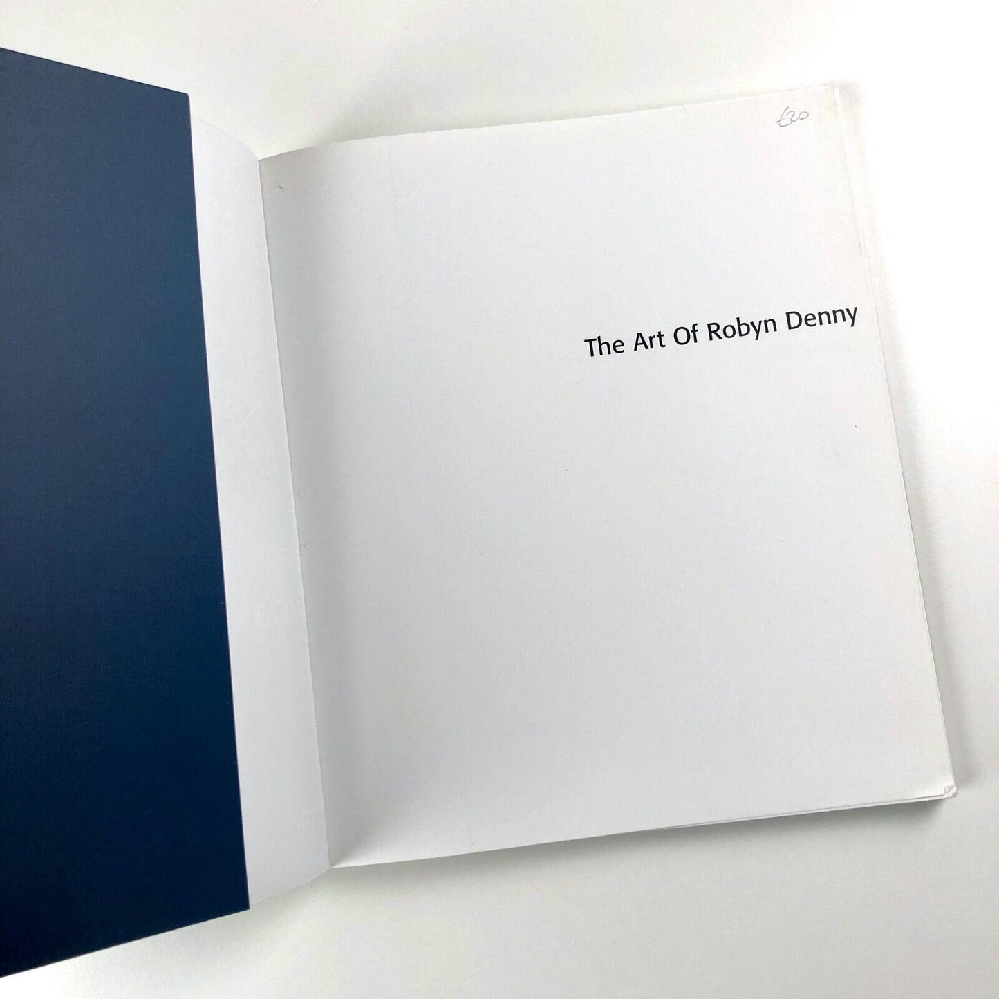 The Art of Robyn Denny by David Alan Mellor | Black Dog Publishing, 2002