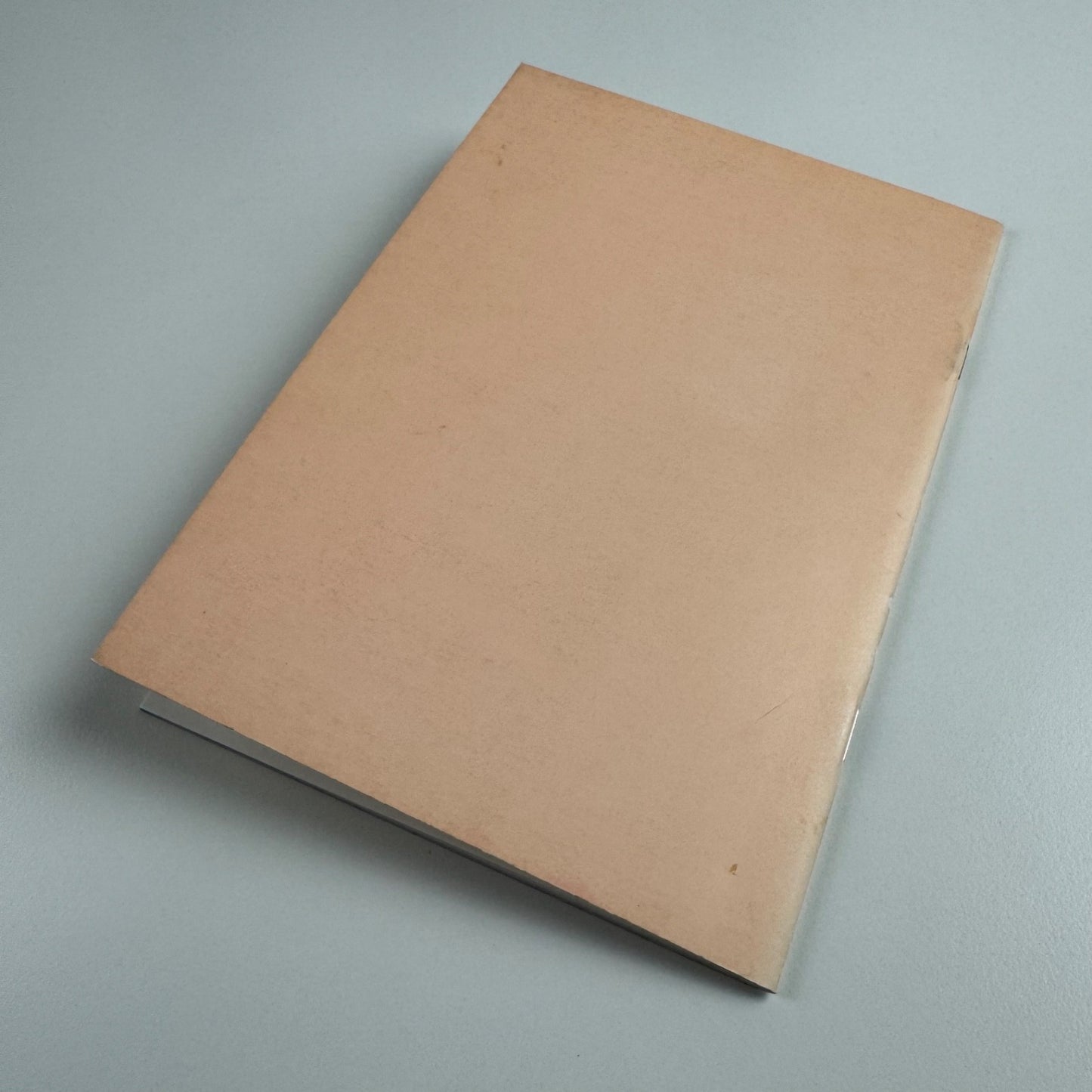 Gilded Word and Radiant Image | John Rylands Library Manchester University 1992