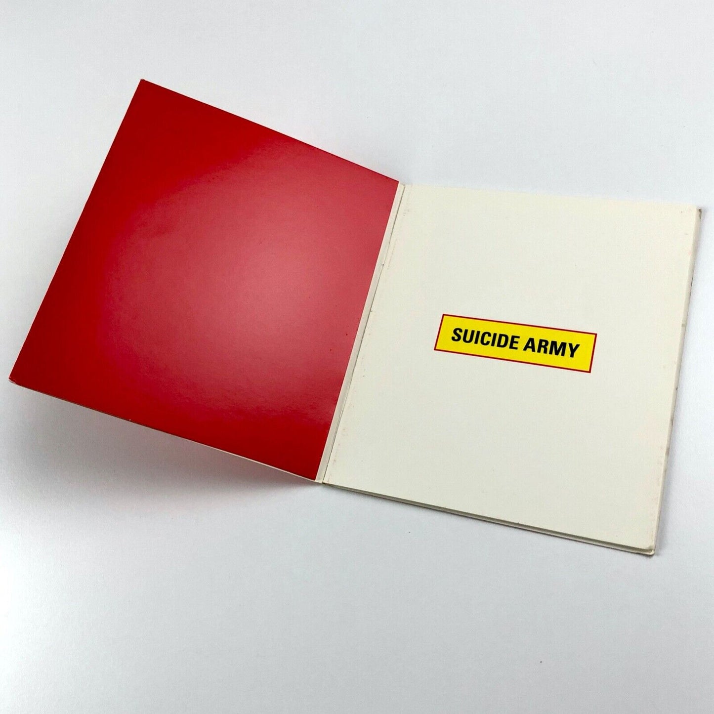 Into The Red Zone | Words of Mass Distraction (1) | Michael Ryan | Surrey Institute of Art and Design, 2004