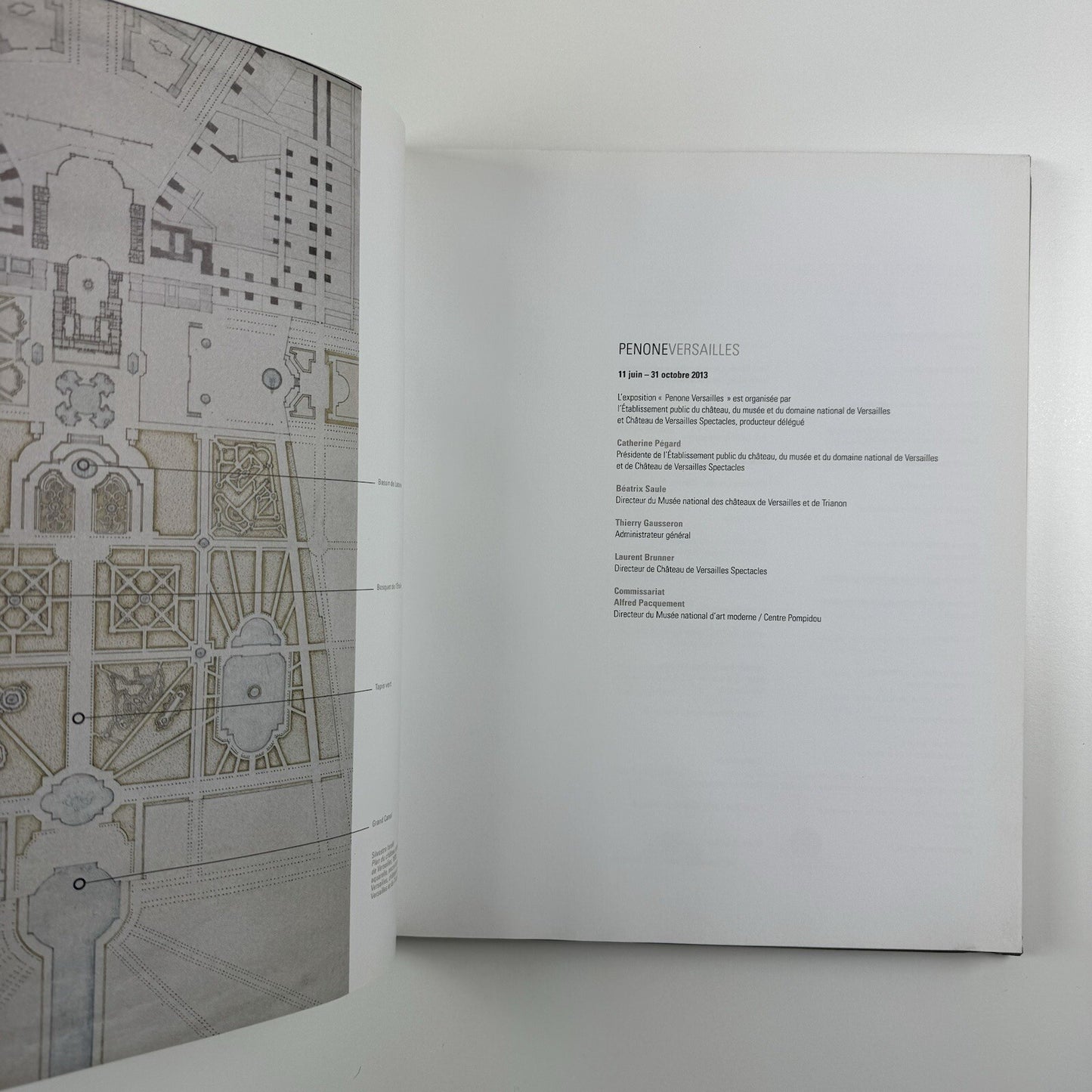 Penone – Versailles | Musée National du Château De Versailles, 2013