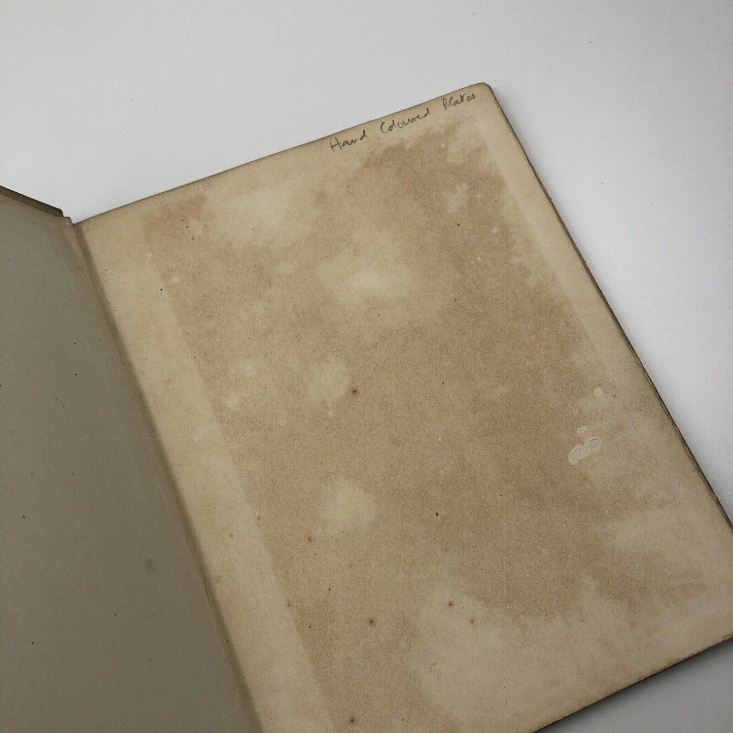 Joseph Hémard: A Short Biography, with a Critical Study by Marcel Valotaire 1929