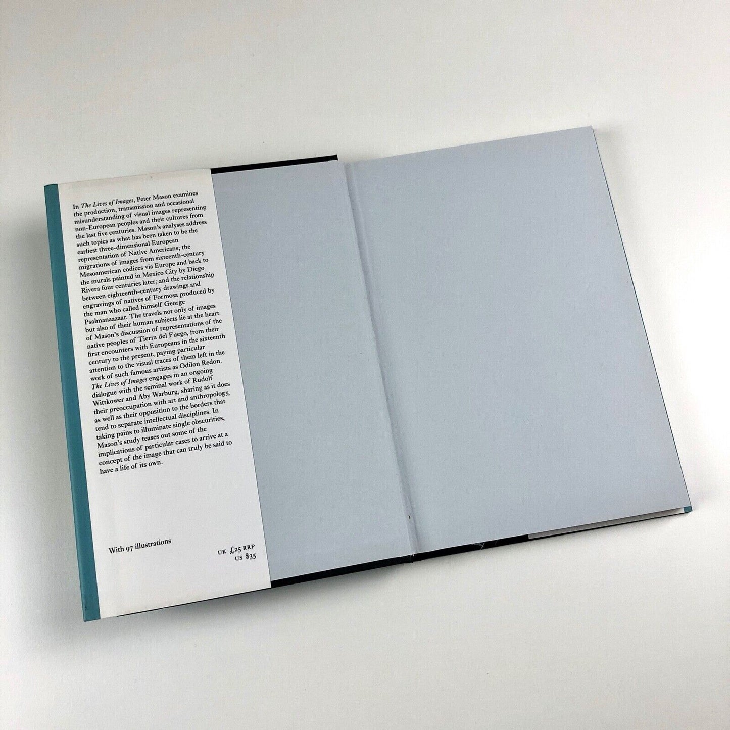 The Lives of Images by Peter Mason | Reaktion Books, 2001