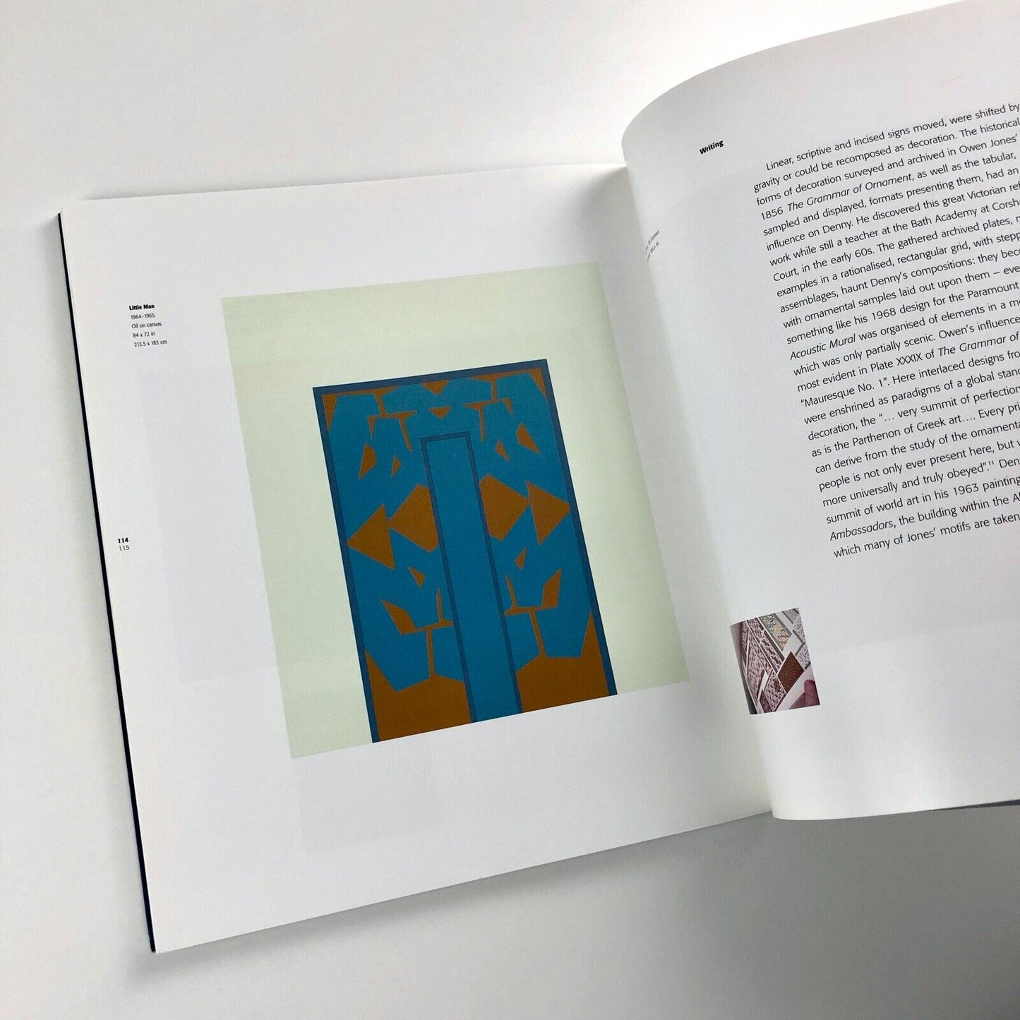 The Art of Robyn Denny by David Alan Mellor | Black Dog Publishing, 2002