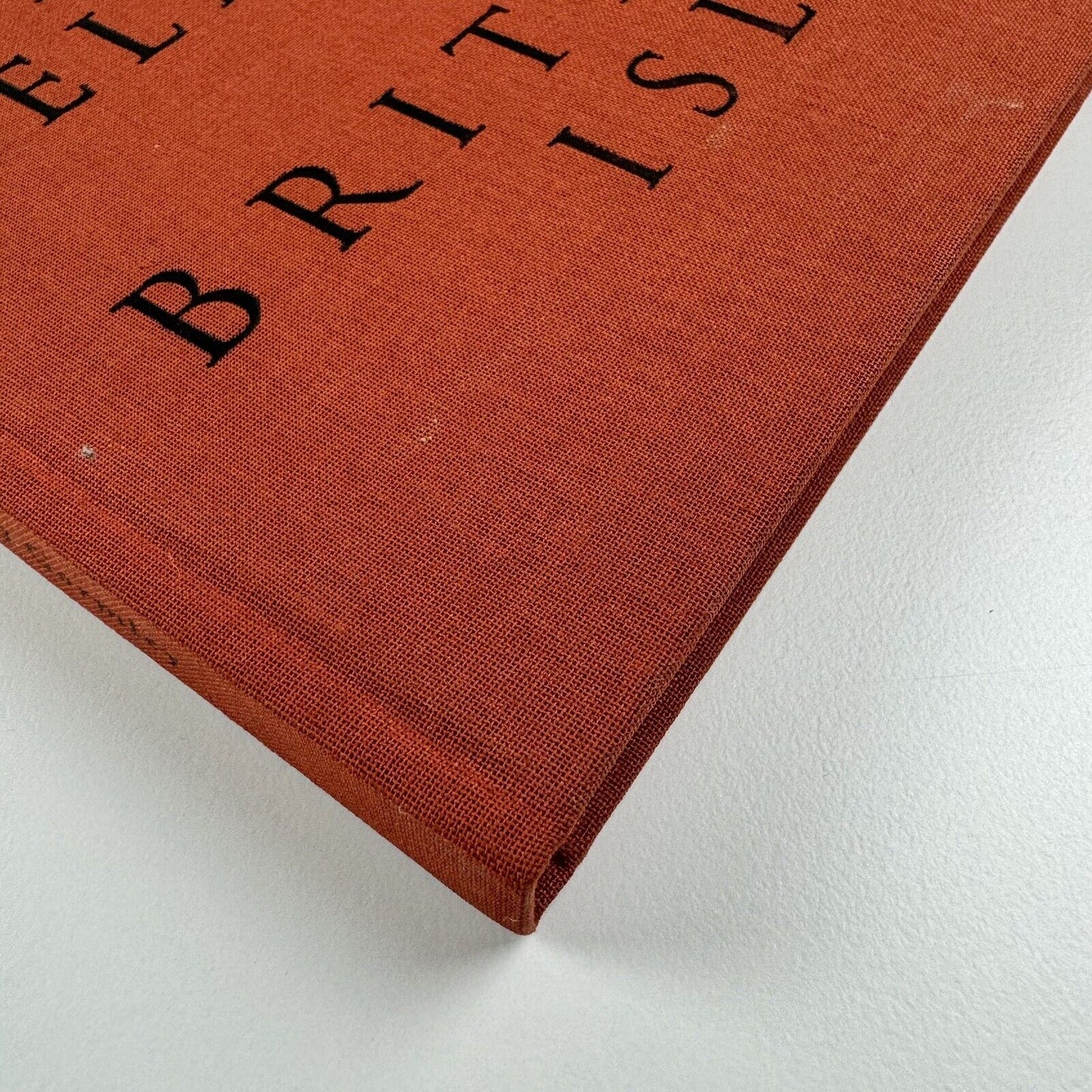Antony Gormley Field for the British Isles 1996 |Edited by Oriel Mostyn | Signed by the artist