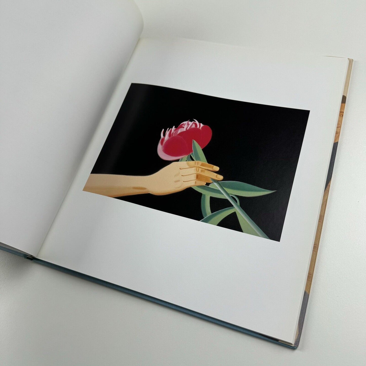 Alex Katz. The Eighties | Galerie Thaddaeus Ropac, 2000