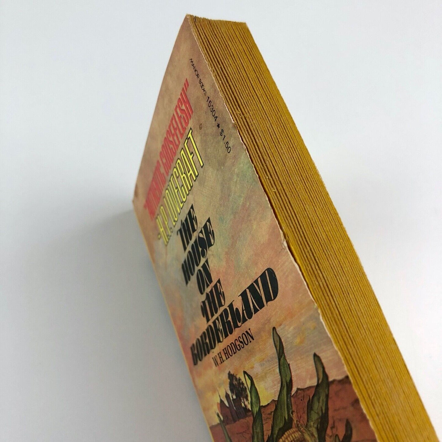 The House on the Borderland by W.H. Hodgson | Manor Books, 1977