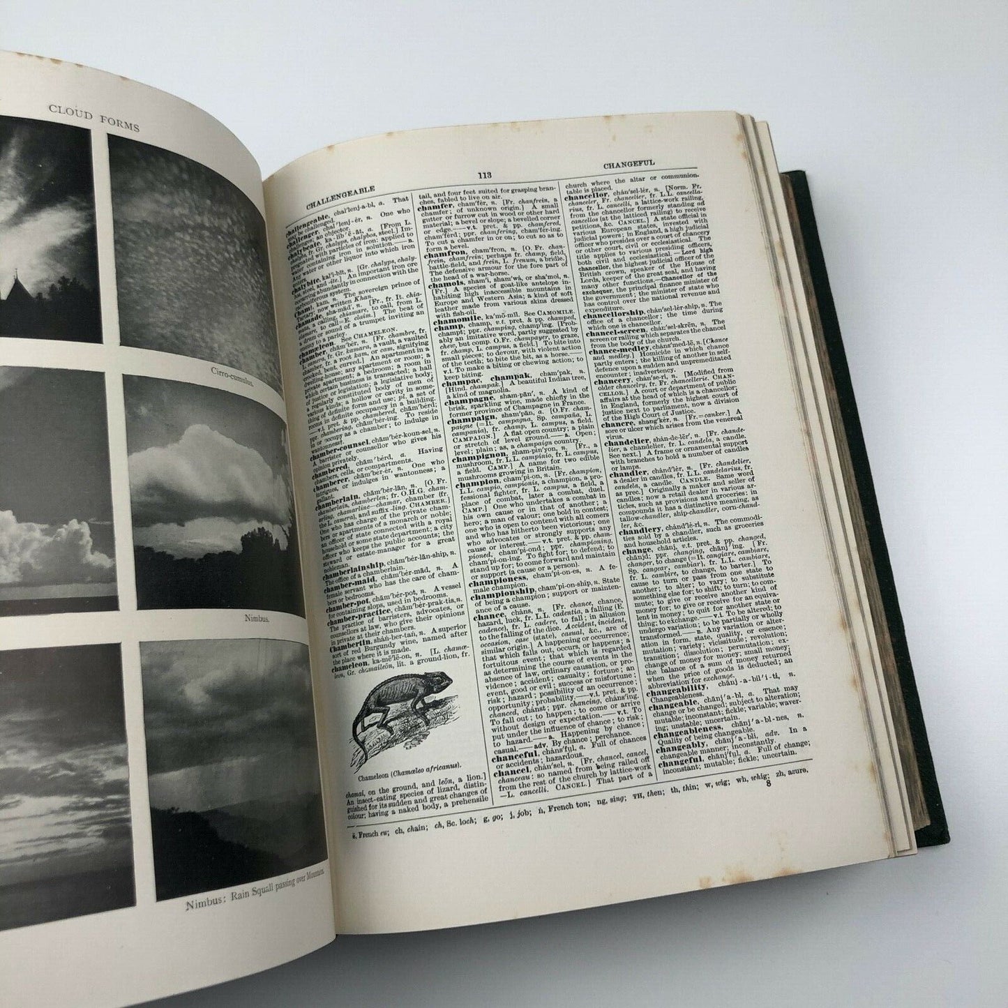 The New Gresham English Dictionary of the English Language, 1925 | C. Annandale
