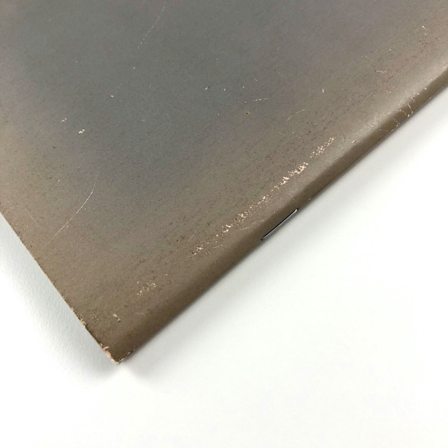 Dependent Rational Animals Roxy Walsh and Sally Underwood | Towner Gallery catalogue, 2013