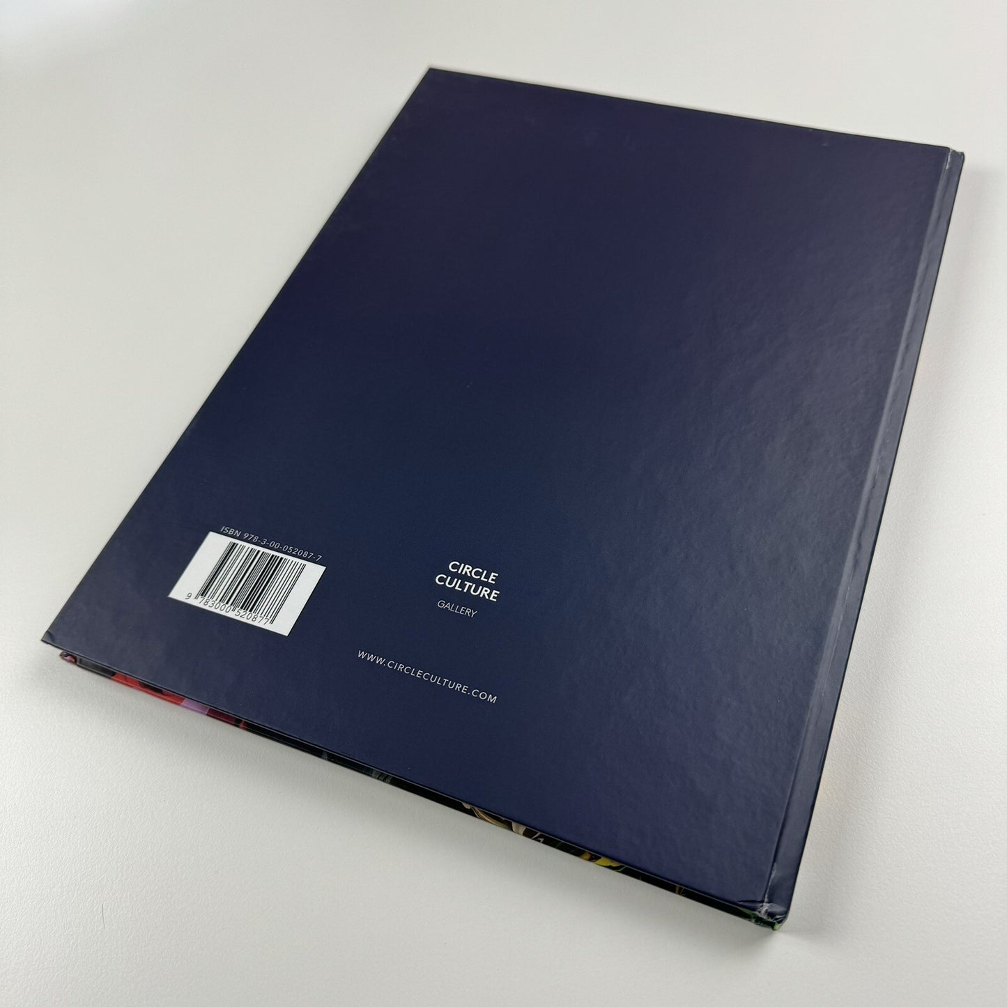 Lennart Grau. 2 CM über dem Zenit | Circle Culture Gallery 2016 catalogue