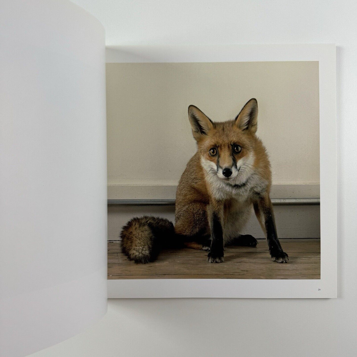 Sam Taylor-Wood – Yes I No. | White Cube catalogue, 2008