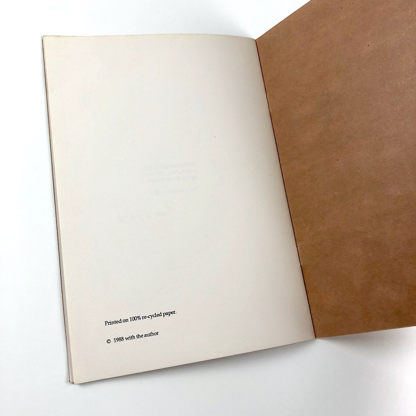 Mir Poets 19 - Views from Myeloma (excerpts 17 and 18) by Tom Scott 1988