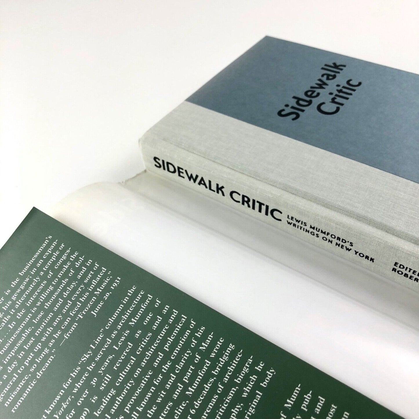 Sidewalk Critic: Lewis Mumford's Writings on New York edited by Robert Wojtowicz | Princeton University Press, 1998