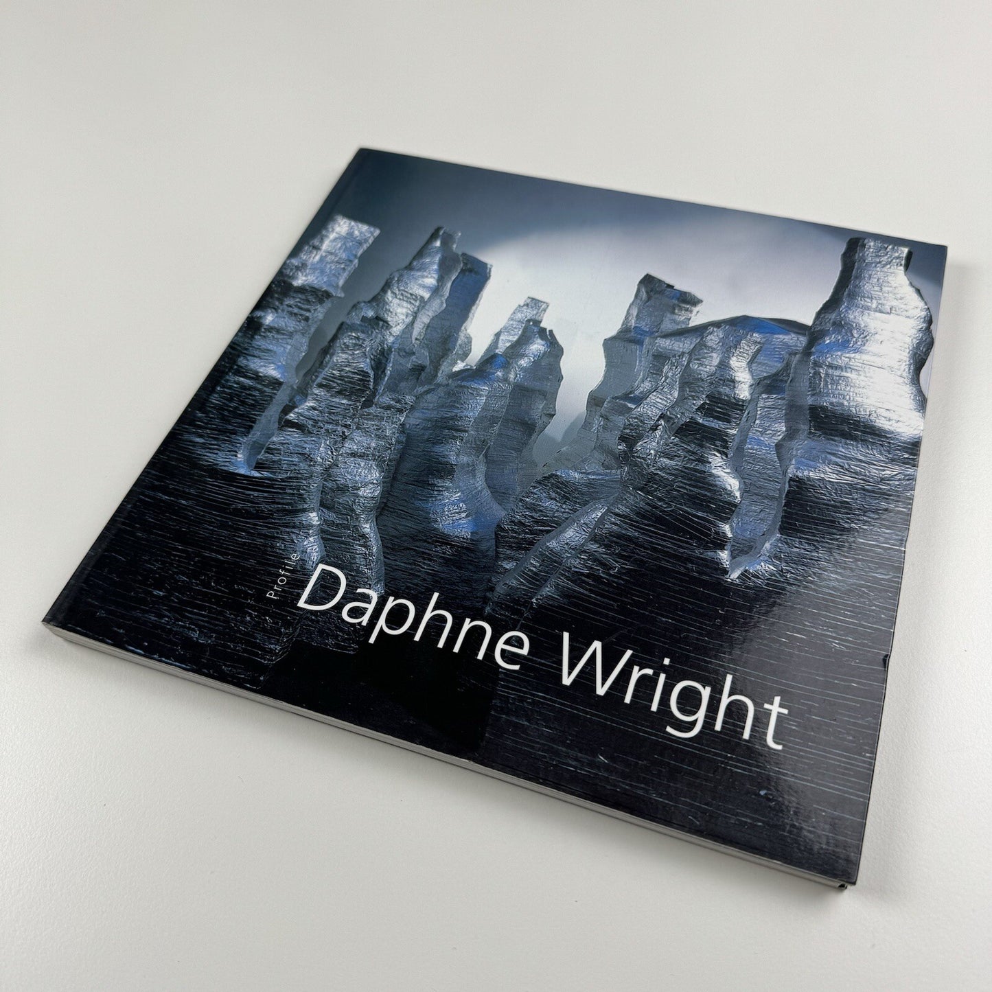 Profile 23. Daphne Wright | Limerick City Gallery of Art | Gandon Editions, 2006