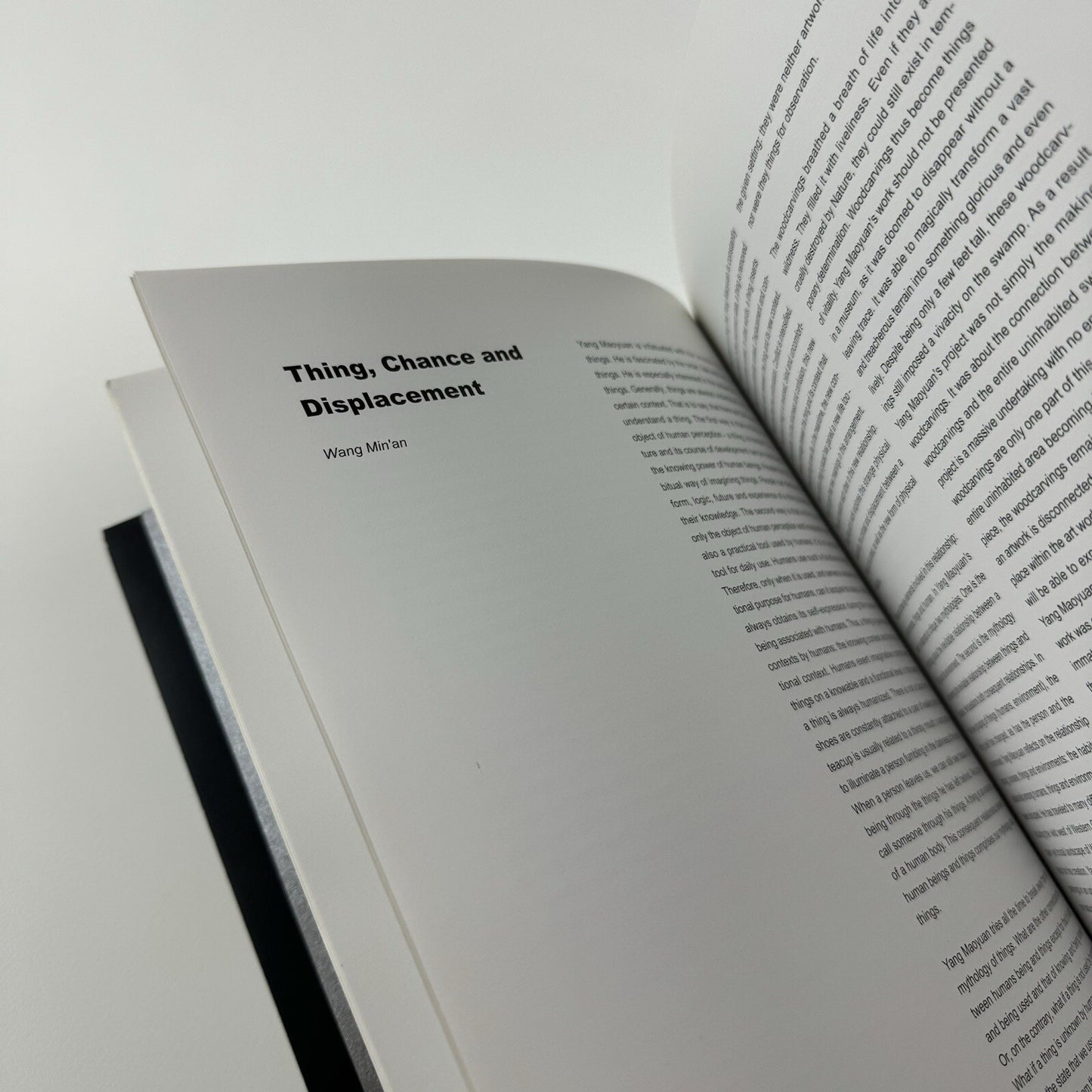 Look Inside – Yang Maoyuan | Timezone 8, 2006 ed. 1000