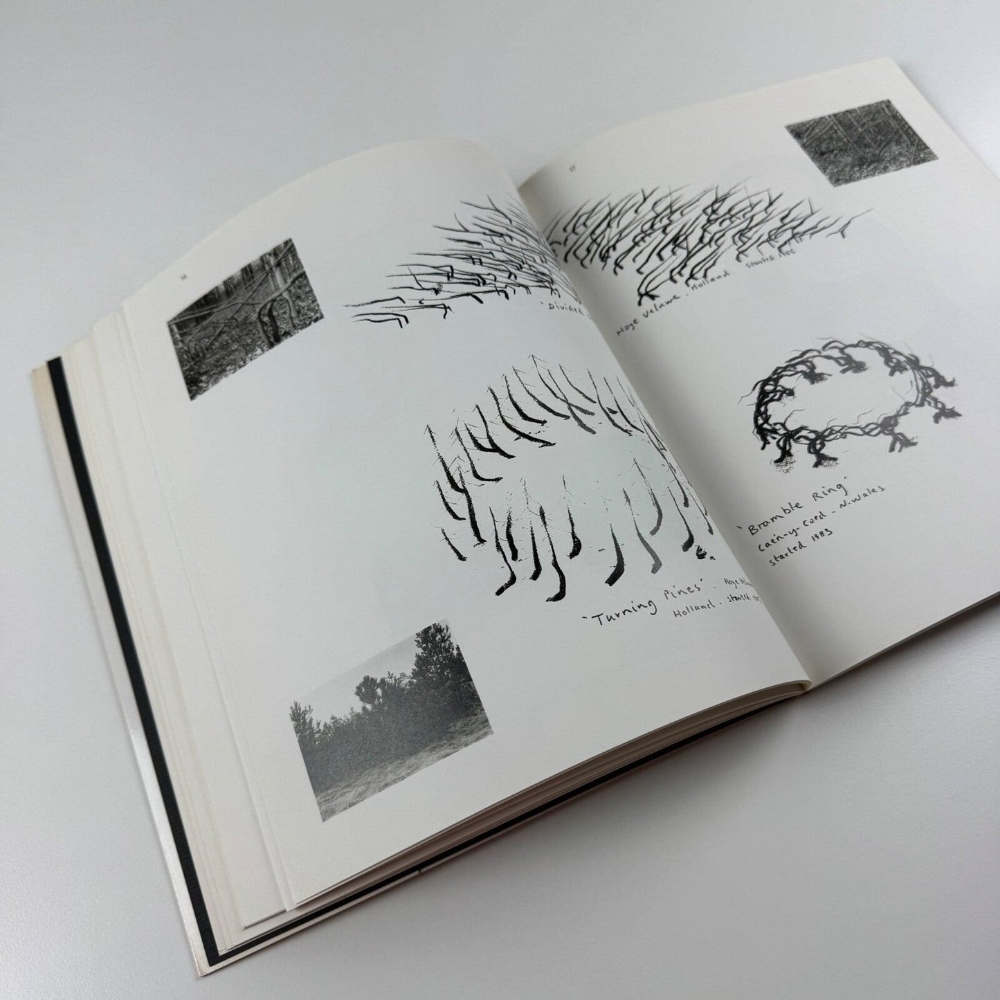 Wood Primer. The sculpture of David Nash | Bedford Arts, 1987