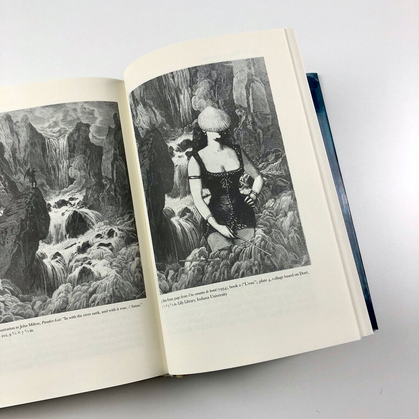 The Victorian Illustrated Book | Edited by Richard Maxwell | University Press of Virginia, 2002