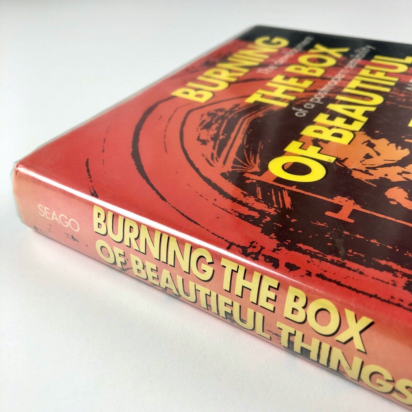 Burning the Box of Beautiful Things by Alex Seago | Oxford University Press 1995