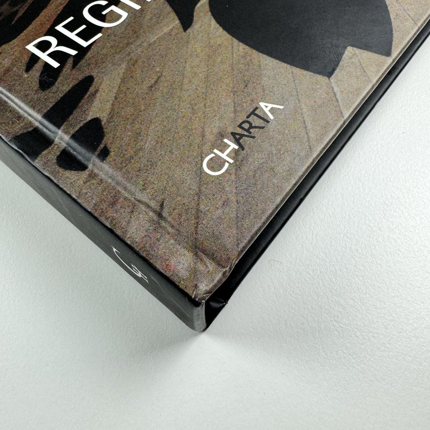 Regina Silveira | Text by Luciana Brito, Adolfo Montejo Navas et al | Charta, 2011