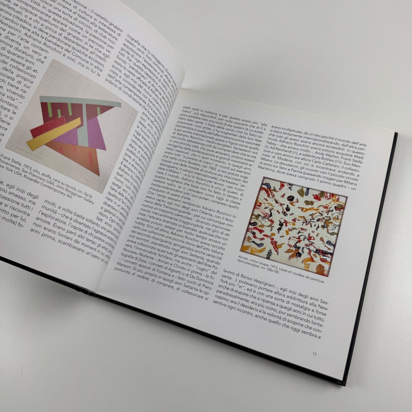Adriano Ronchini. Gli artisti che ho amato | Edizioni Indisciplinarte, Terni, 2012