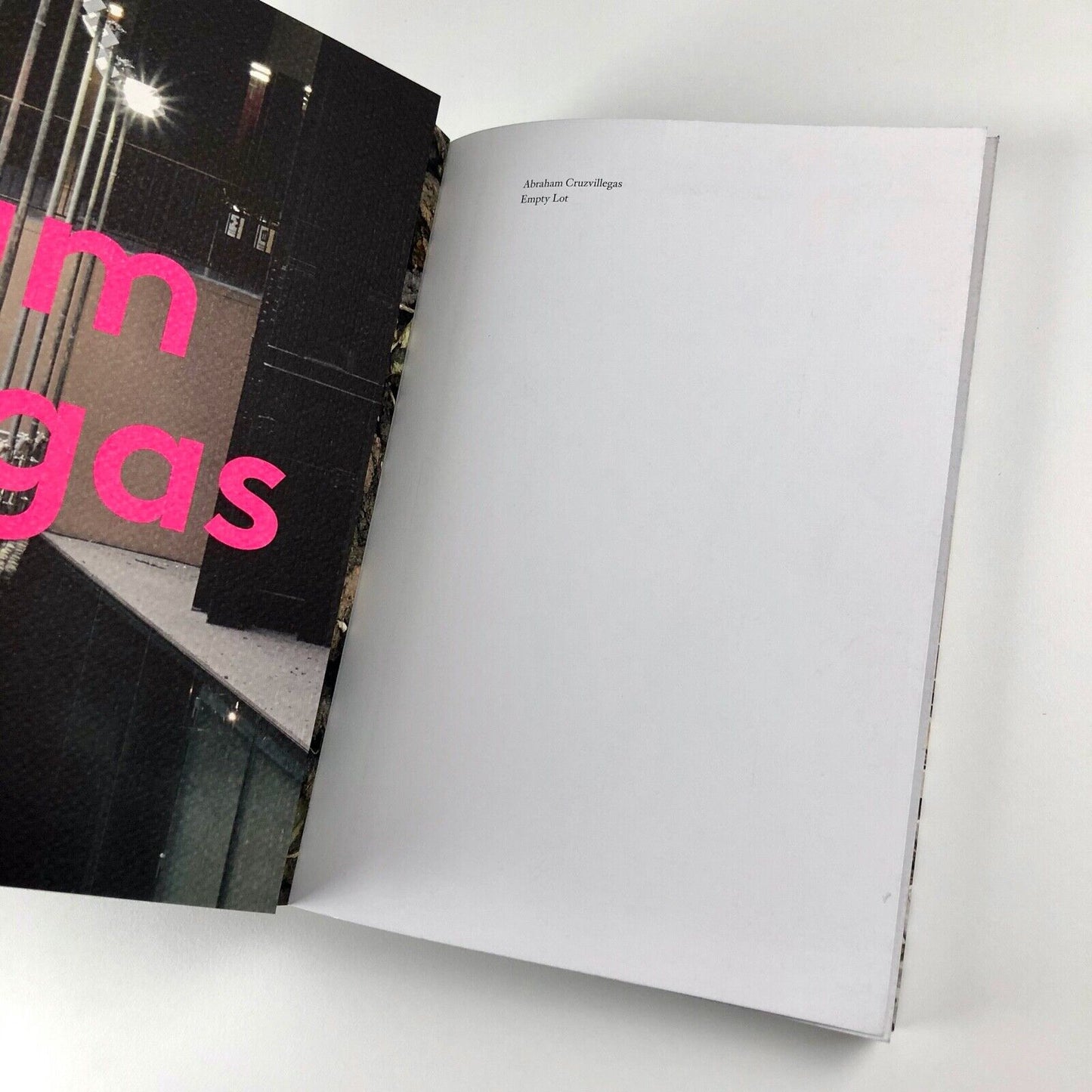 Abraham Cruzvillegas: Empty Lot | Tate Modern exhibition catalogue, 2015
