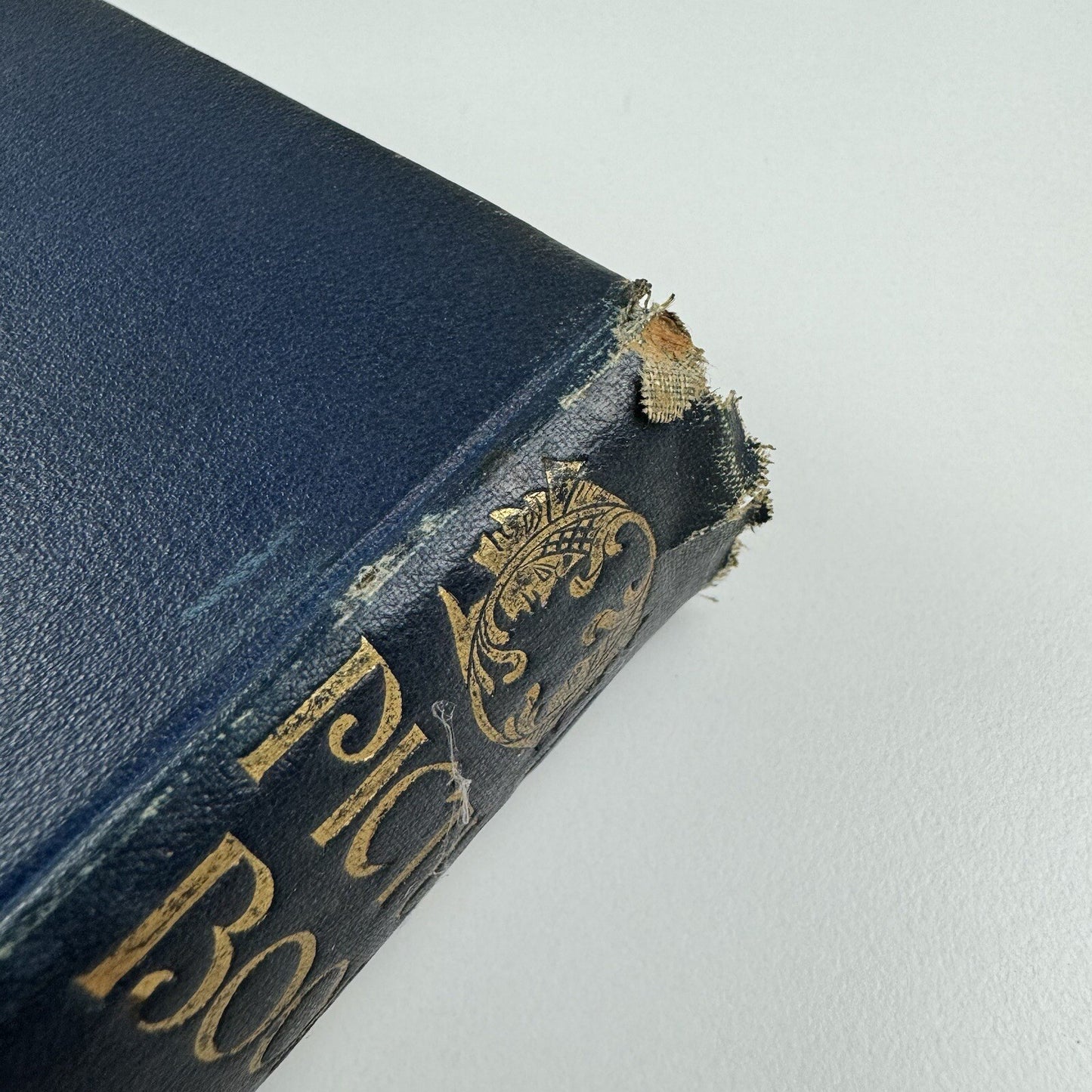 Old Picture Books by Alfred W. Pollard | William Charles Copperthwaite signature | Methuen & Co, 1902