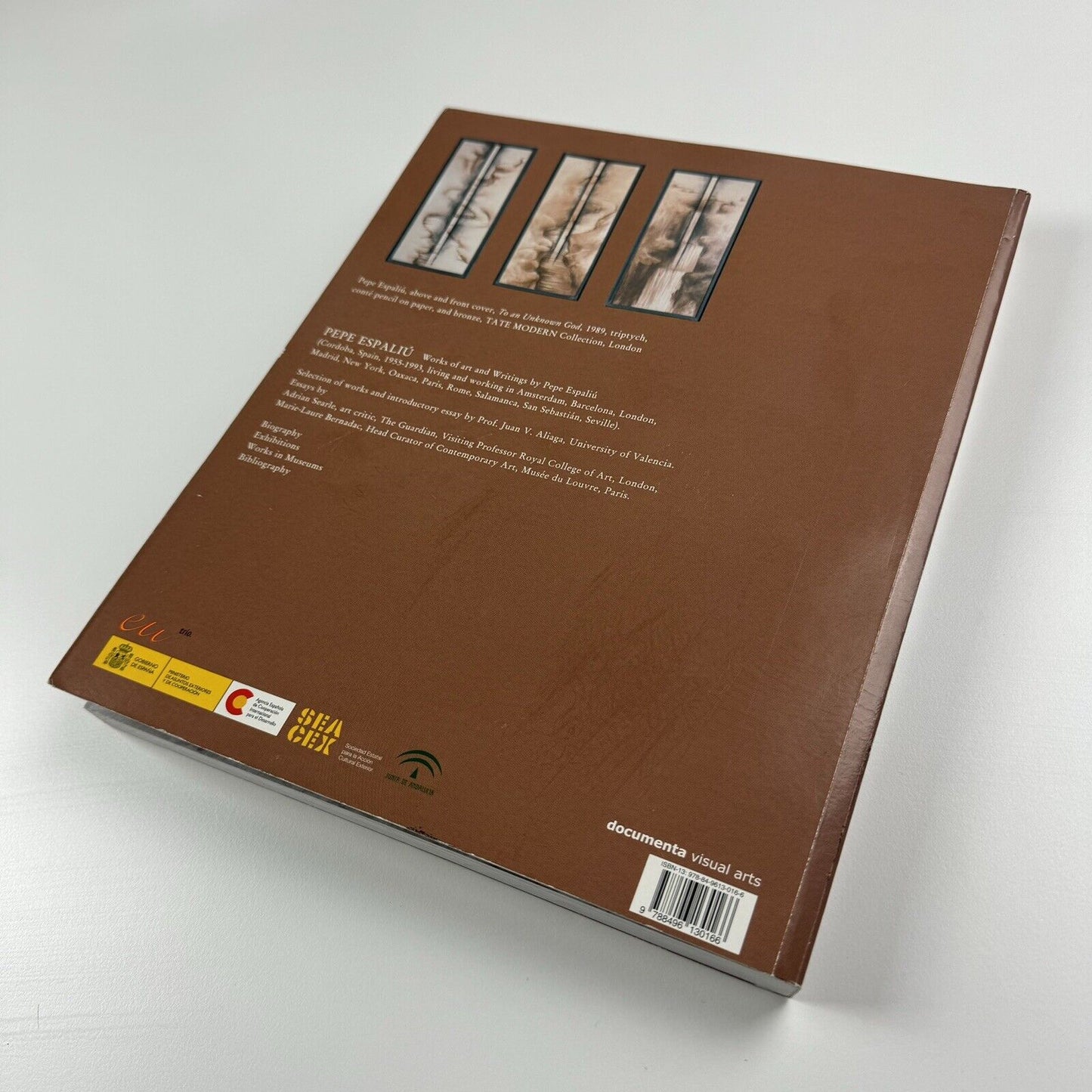 Pepe Espaliú. Artworks and Writings | Documenta Visual Arts Madrid 2007