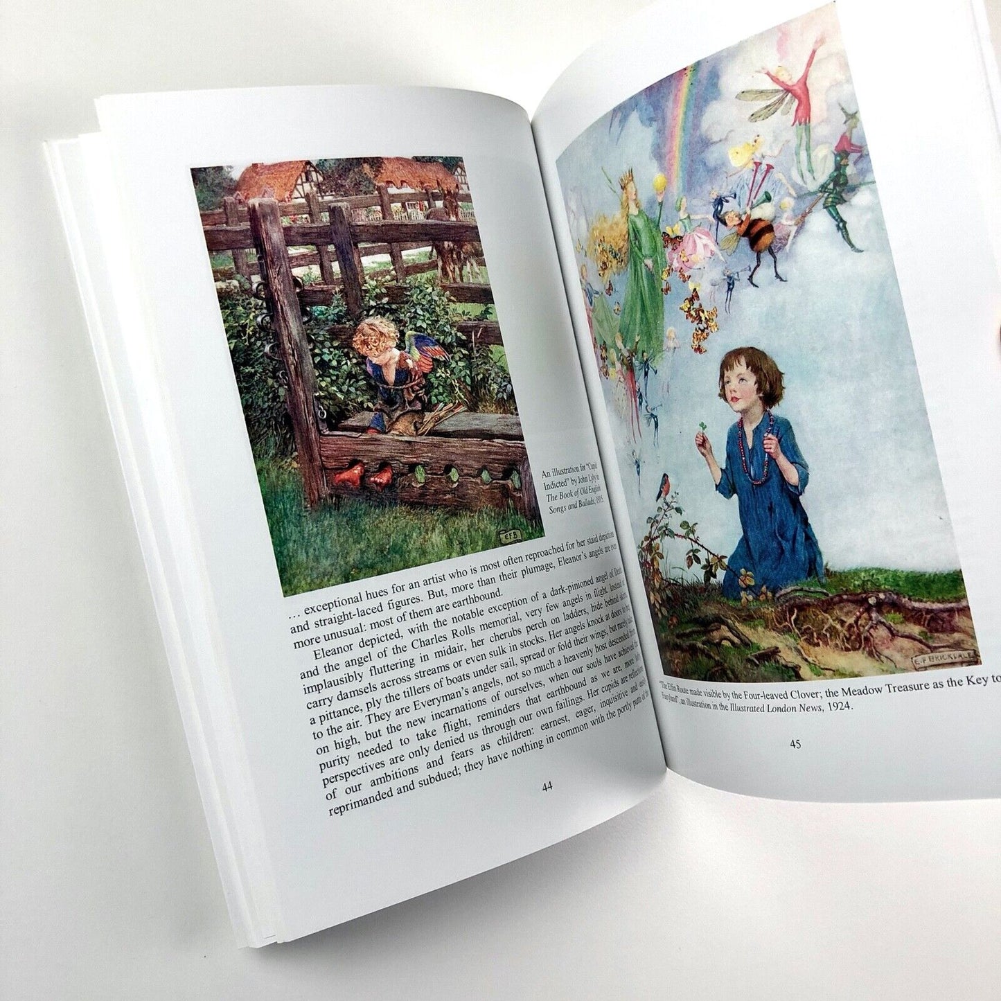 Imaginative Book Illustration Society (IBIS) Journal 5 – Colour and Line, 2014