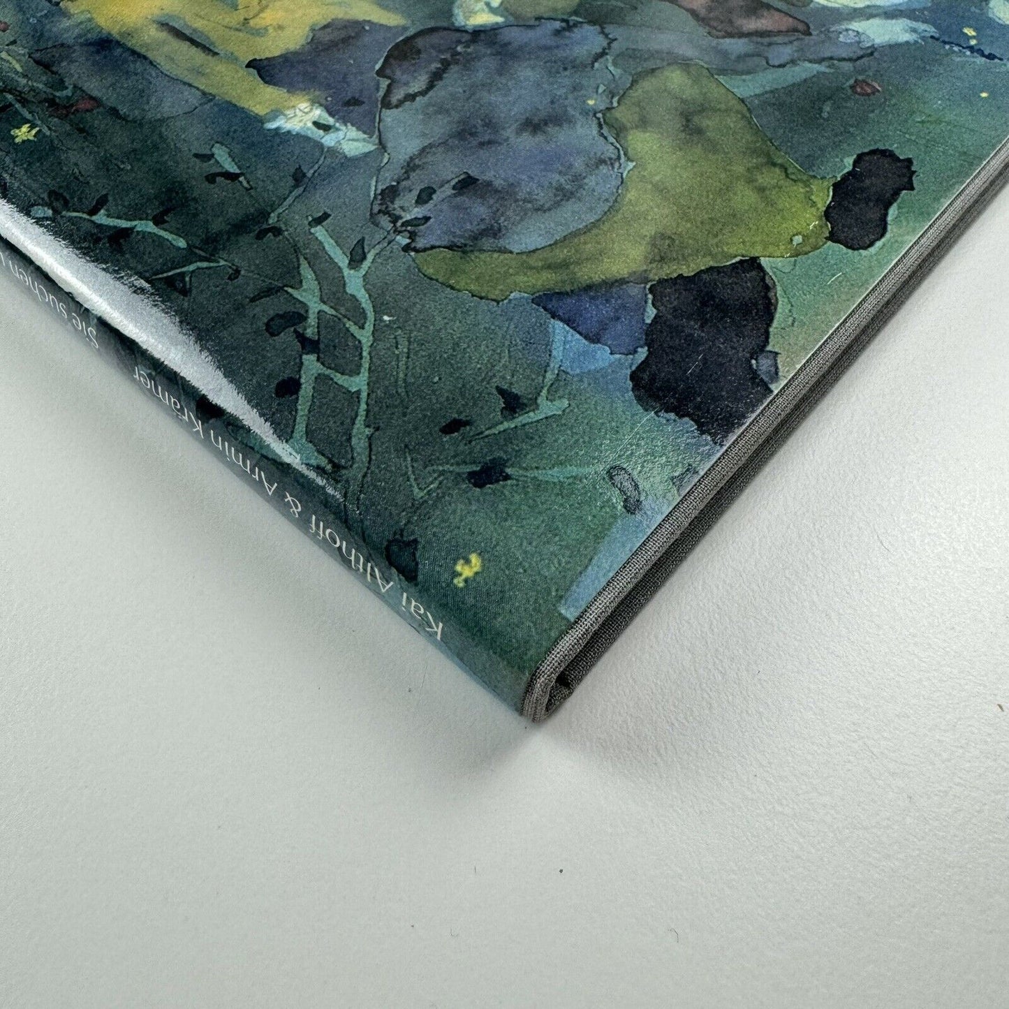 Sie suchen uns. Eine Geschichte von Armin Krämer zu Bildern von Kai Althoff | Galerie Neu, Berlin, 2001