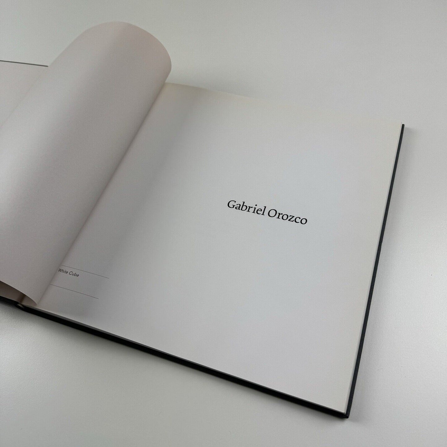 Gabriel Orozco. Twelve Paintings and a Drawing | White Cube, 2006