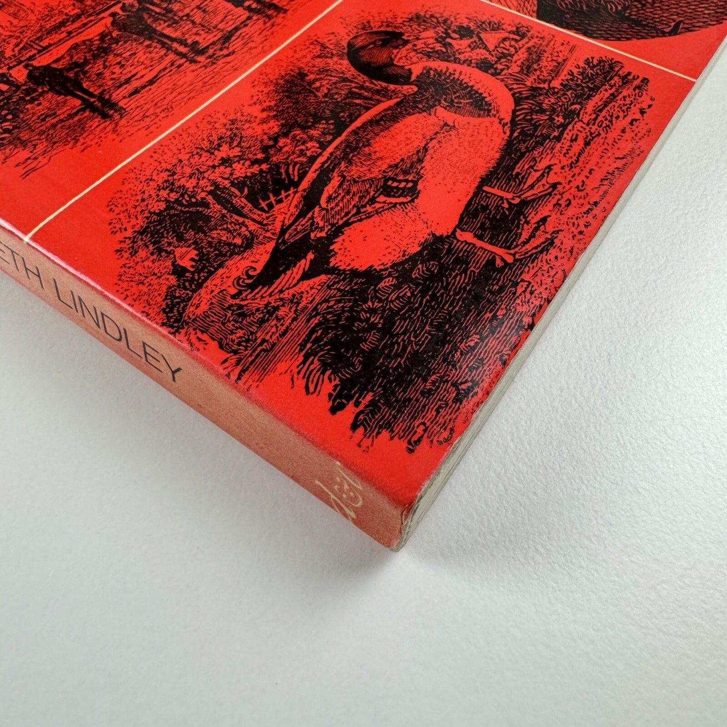 The Woodblock Engravers by Kenneth Lindley | David & Charles, 1970