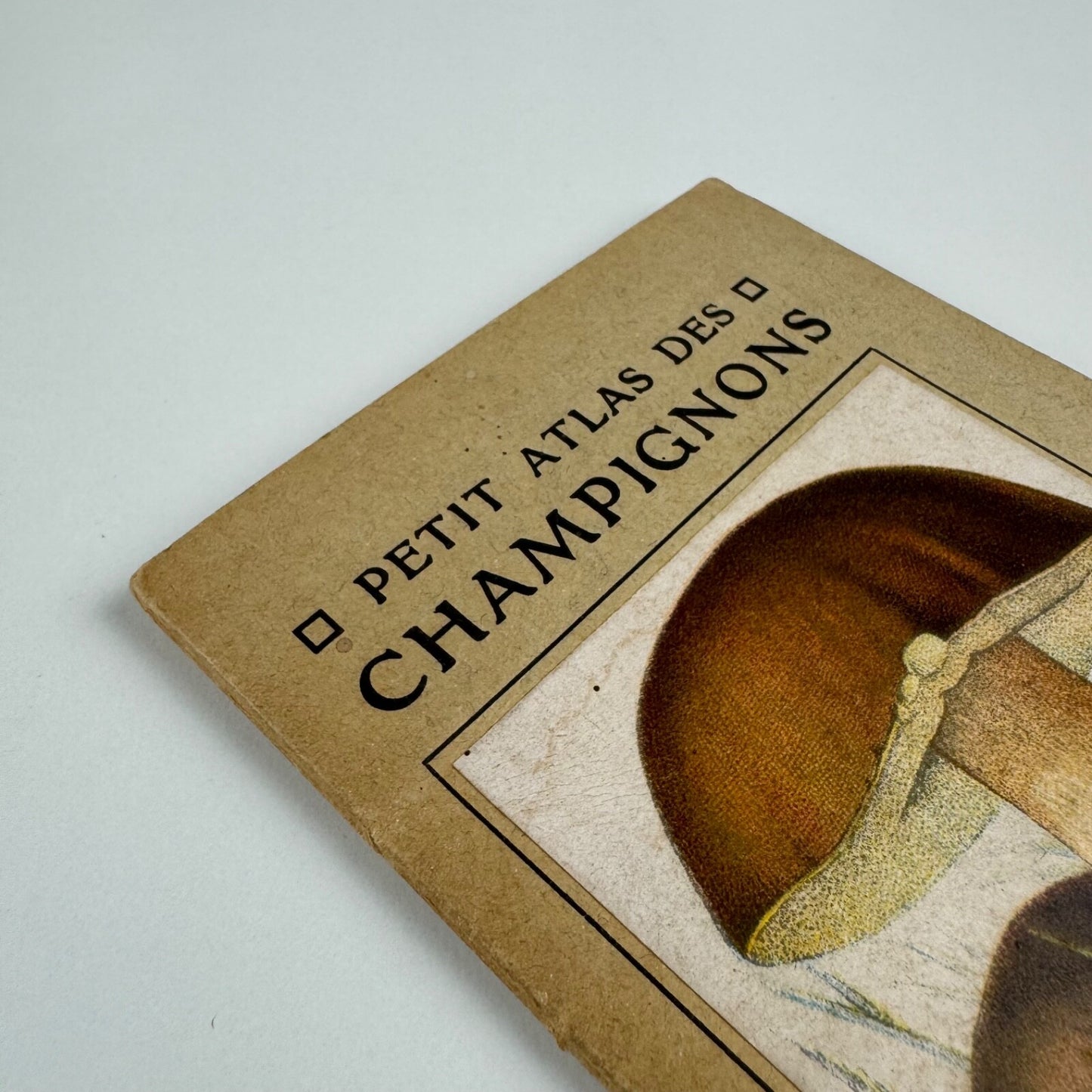Petit Atlas Des Champignons. Delachaux & Niestlé. Neuchâtel. Undated believed to date from 1900. Text in French. Small pocket sized book with fold out pages