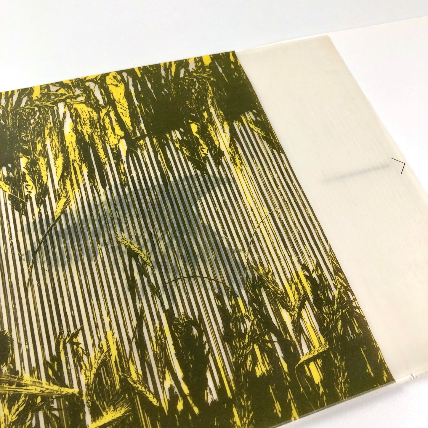 The Designer and Animation, 'Bird In Flight' | IAW Clements | Wiggins Teape leaflet