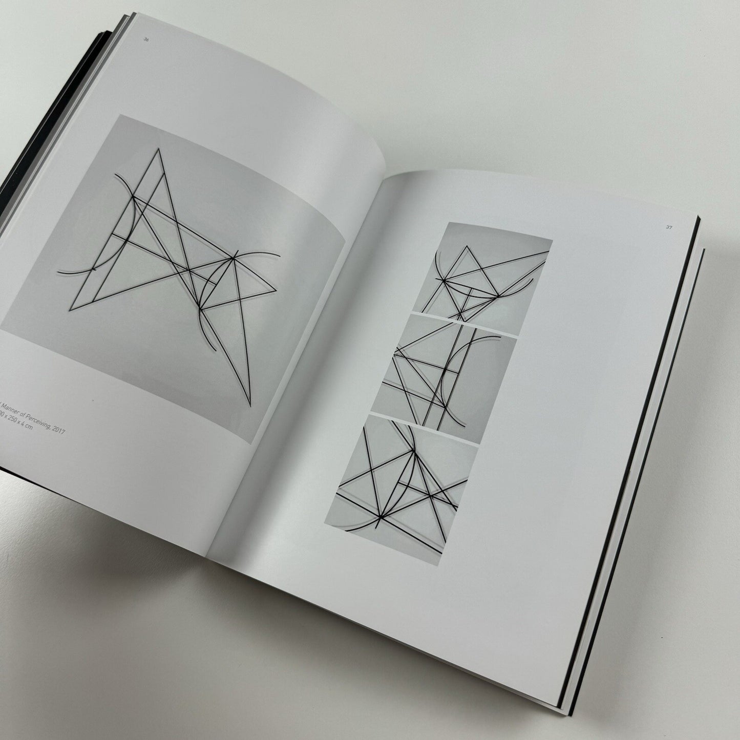 A Rectilinear Propagation of Thought: Heba Y. Amin | Zilberman Gallery catalogue, 2018