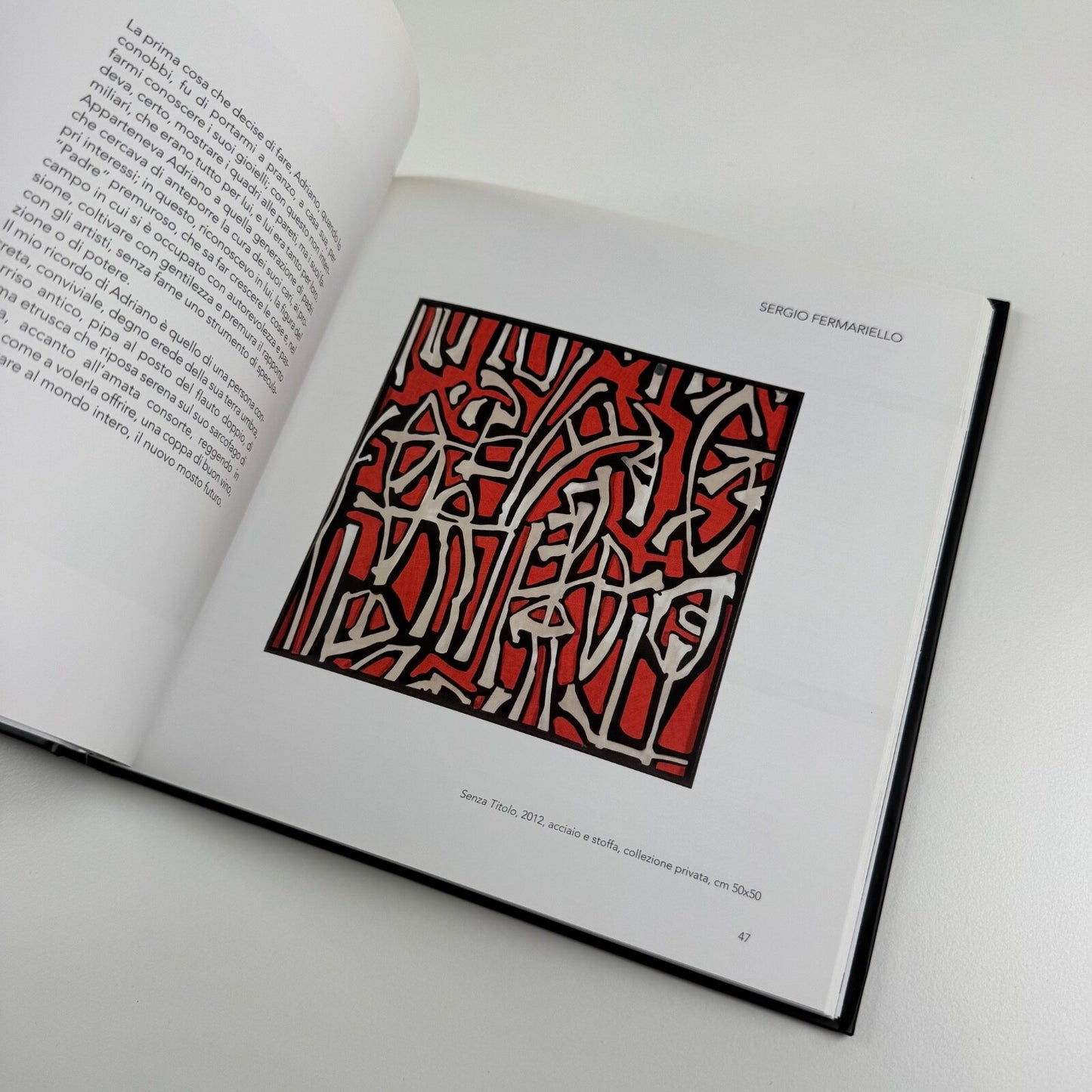 Adriano Ronchini. Gli artisti che ho amato | Edizioni Indisciplinarte, Terni, 2012
