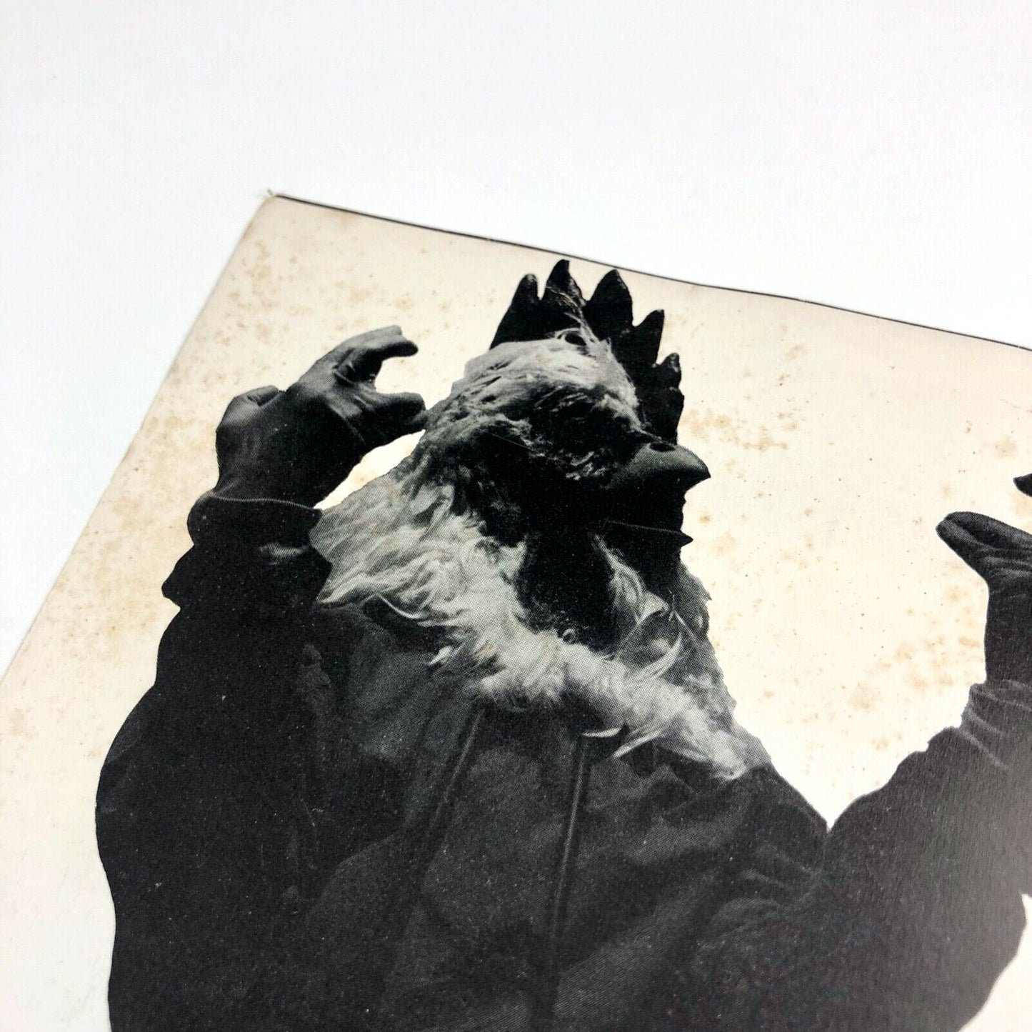 Rational Theatre and Malcolm Poynter present: Orders of Obedience | Booklet, 1980s
