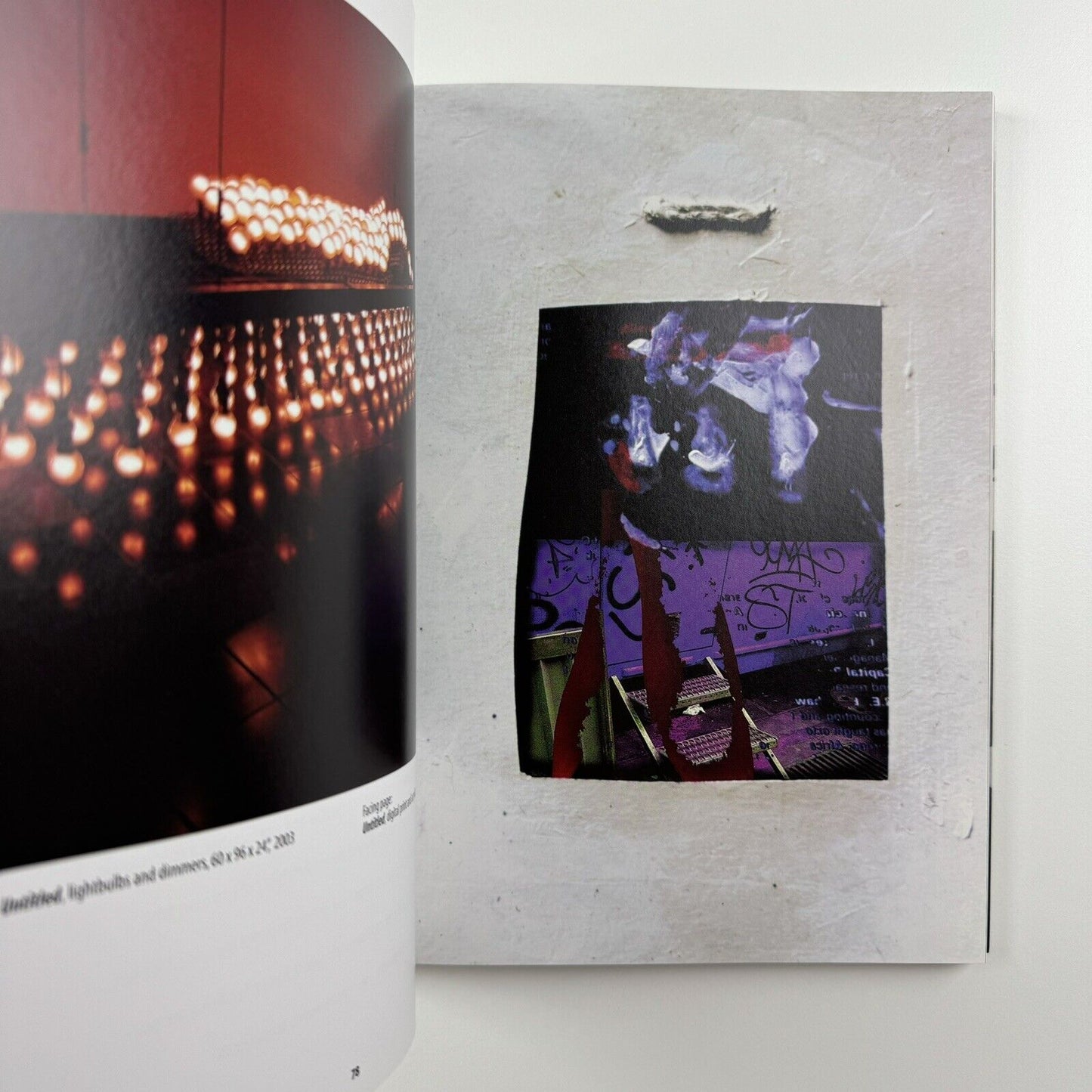 India 20. Conversations with Contemporary Artists by Anupa Mehta | Mapin Publishing, 2007