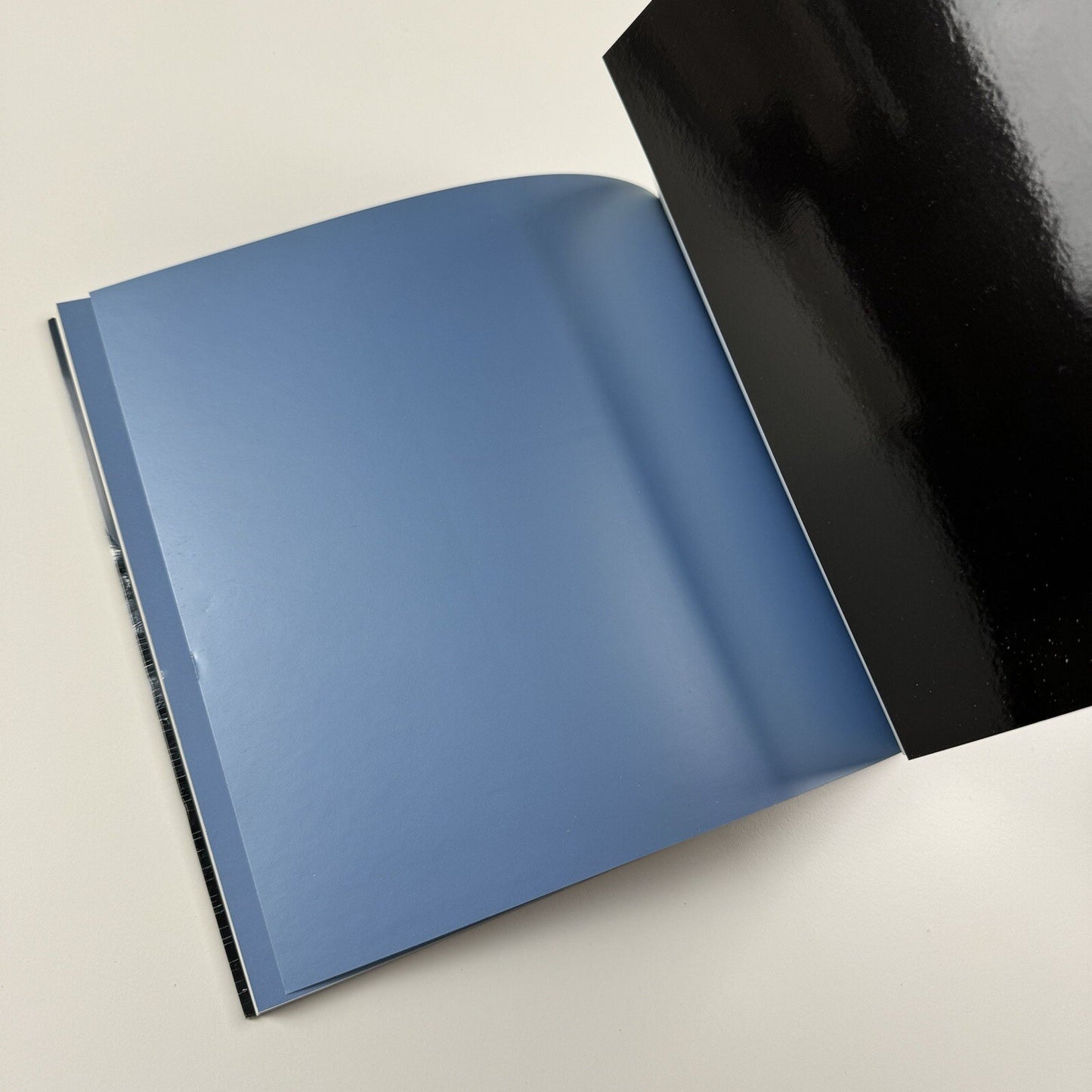 Profile 23. Daphne Wright | Limerick City Gallery of Art | Gandon Editions, 2006