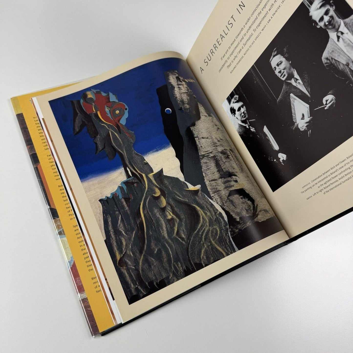 The Home the Surrealists: Lee Miler, Roland Penrose and Their Circle at Farley Farm | Antony Penrose, 2001