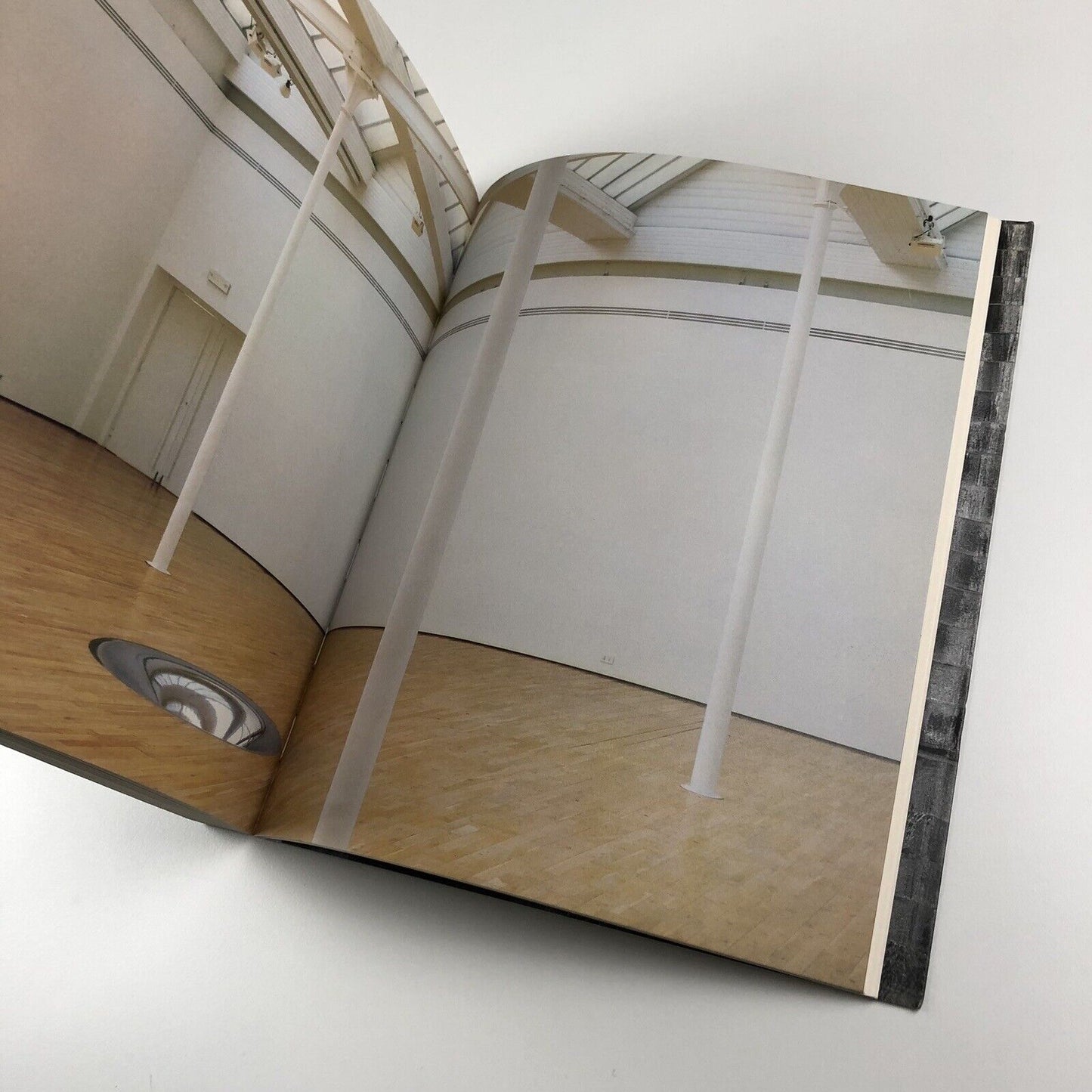 Anish Kapoor by Germano Celant | Edizioni Charta, 1996