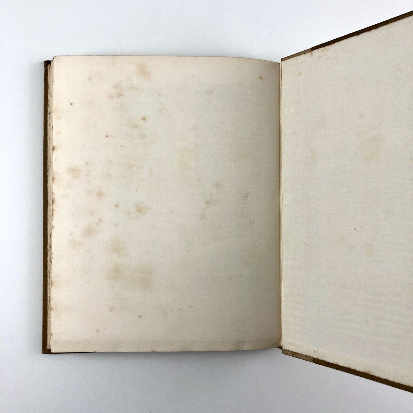 Records of the Court of the Stationers’ Company 1576-1602 | Greg & Boswell, 1930