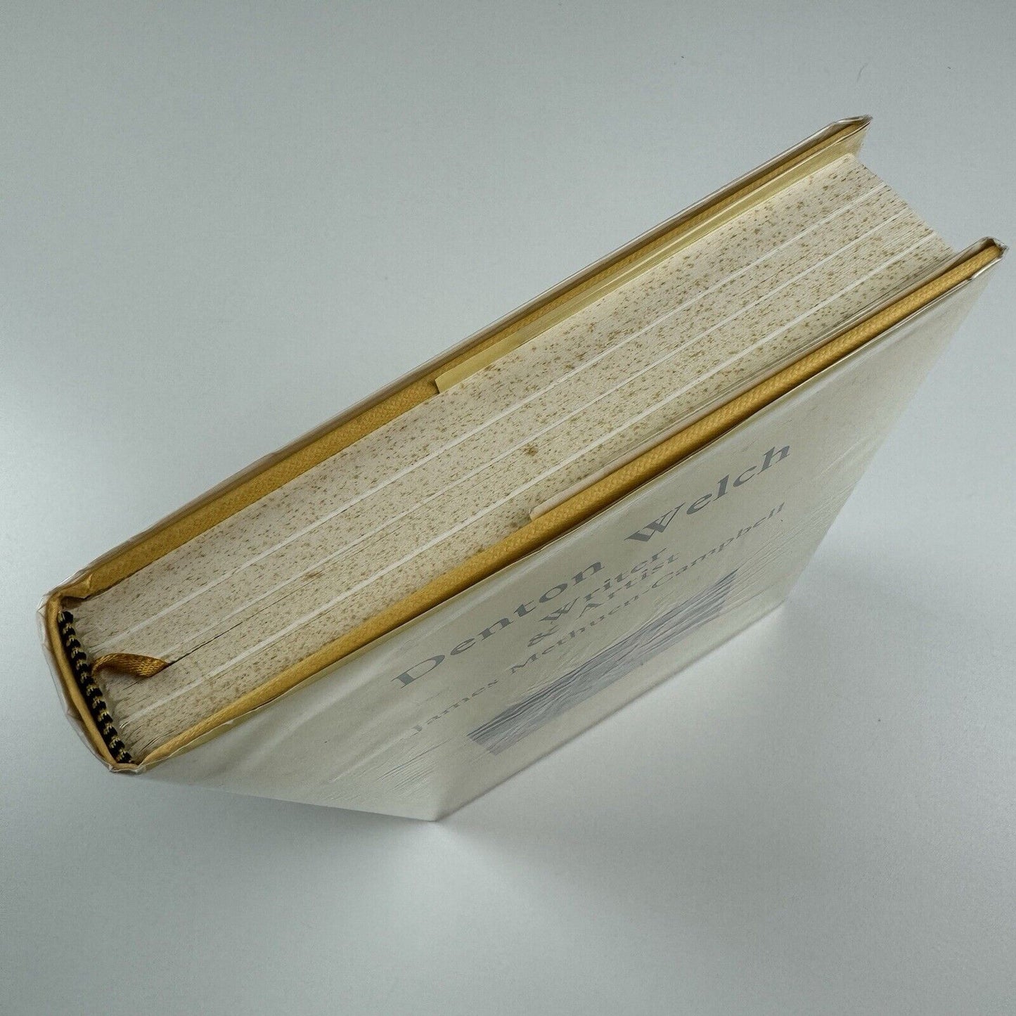 Denton Welch. Writer & Artist by James Methuen-Campbell | Tartarus Press, 2002