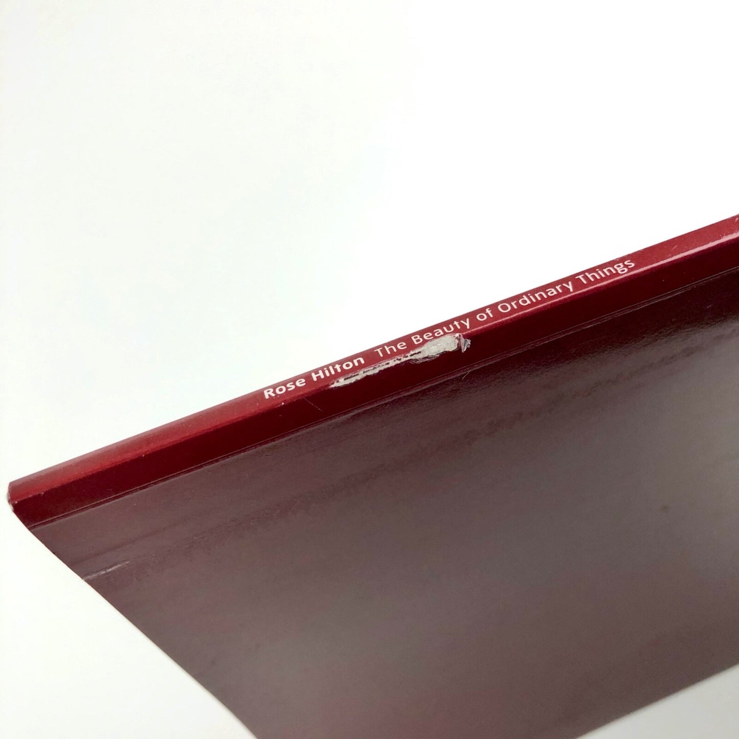 Rose Hilton – The Beauty of Ordinary Things | Tate catalogue, 2008