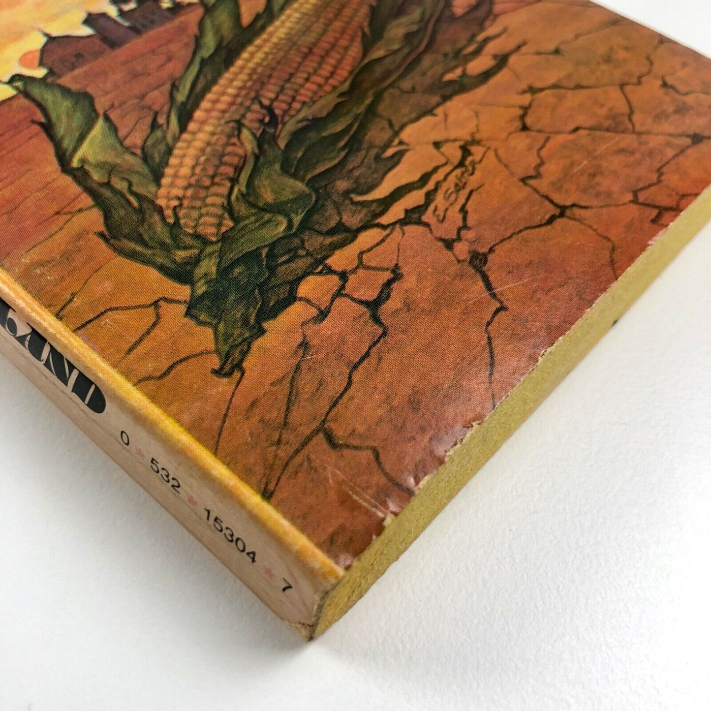 The House on the Borderland by W.H. Hodgson | Manor Books, 1977