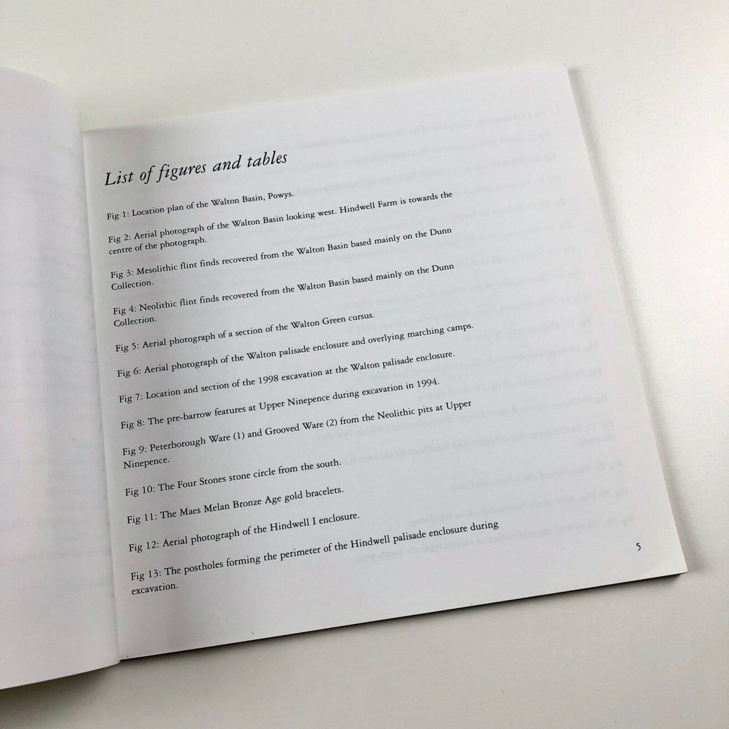 The Walton Basin – Survey at the Hindwell Neolithic Enclosure | Alex Gibson 1999