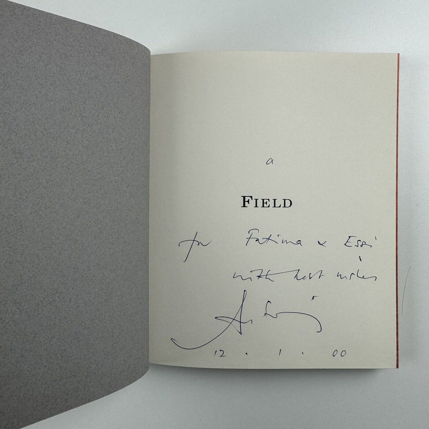 Antony Gormley Field for the British Isles 1996 |Edited by Oriel Mostyn | Signed by the artist