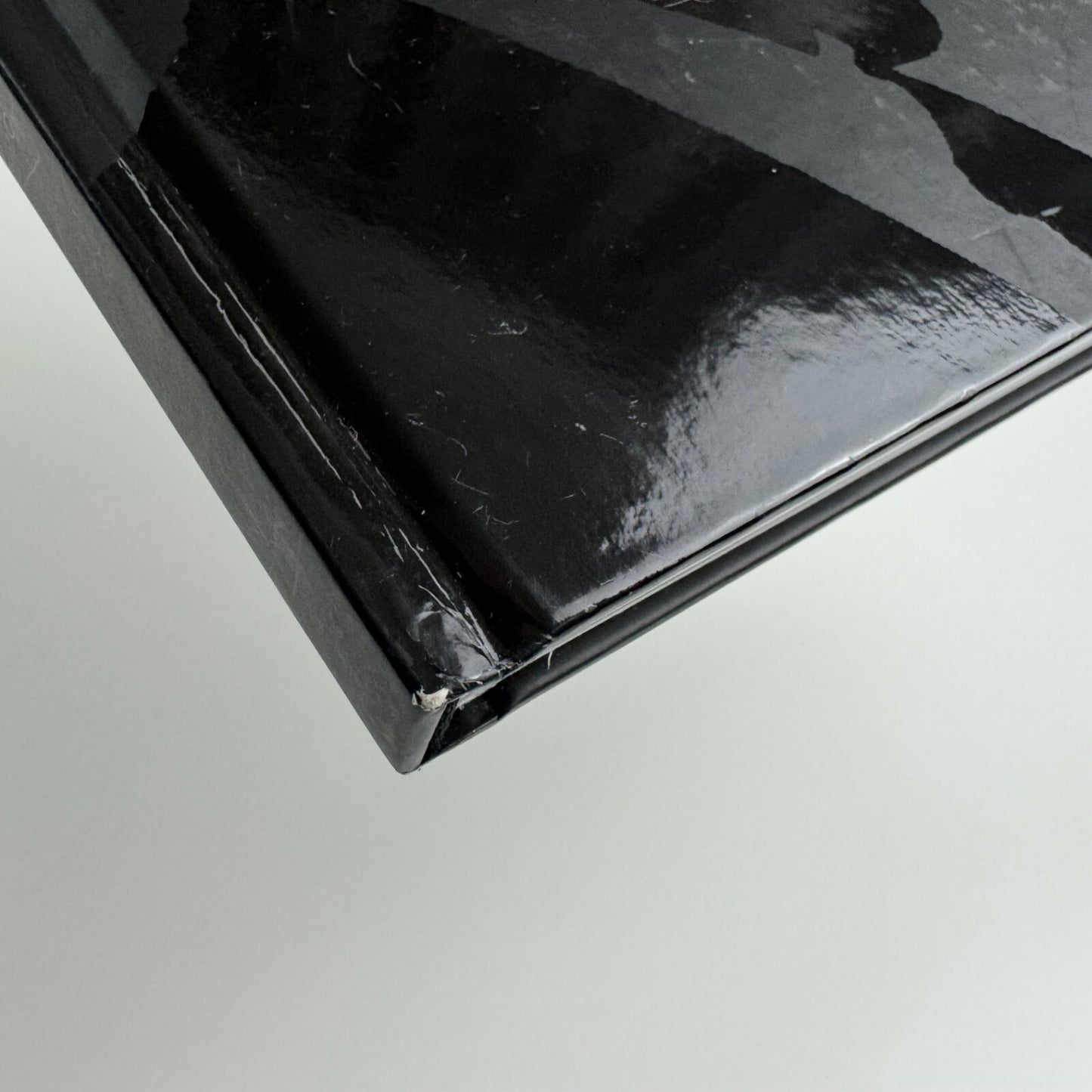 Adriano Ronchini. Gli artisti che ho amato | Edizioni Indisciplinarte, Terni, 2012