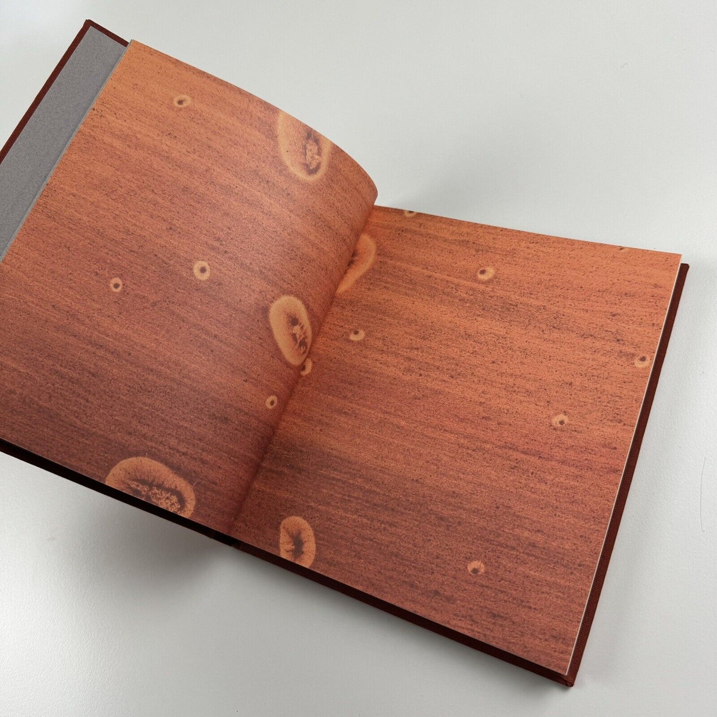 Antony Gormley Field for the British Isles 1996 |Edited by Oriel Mostyn | Signed by the artist